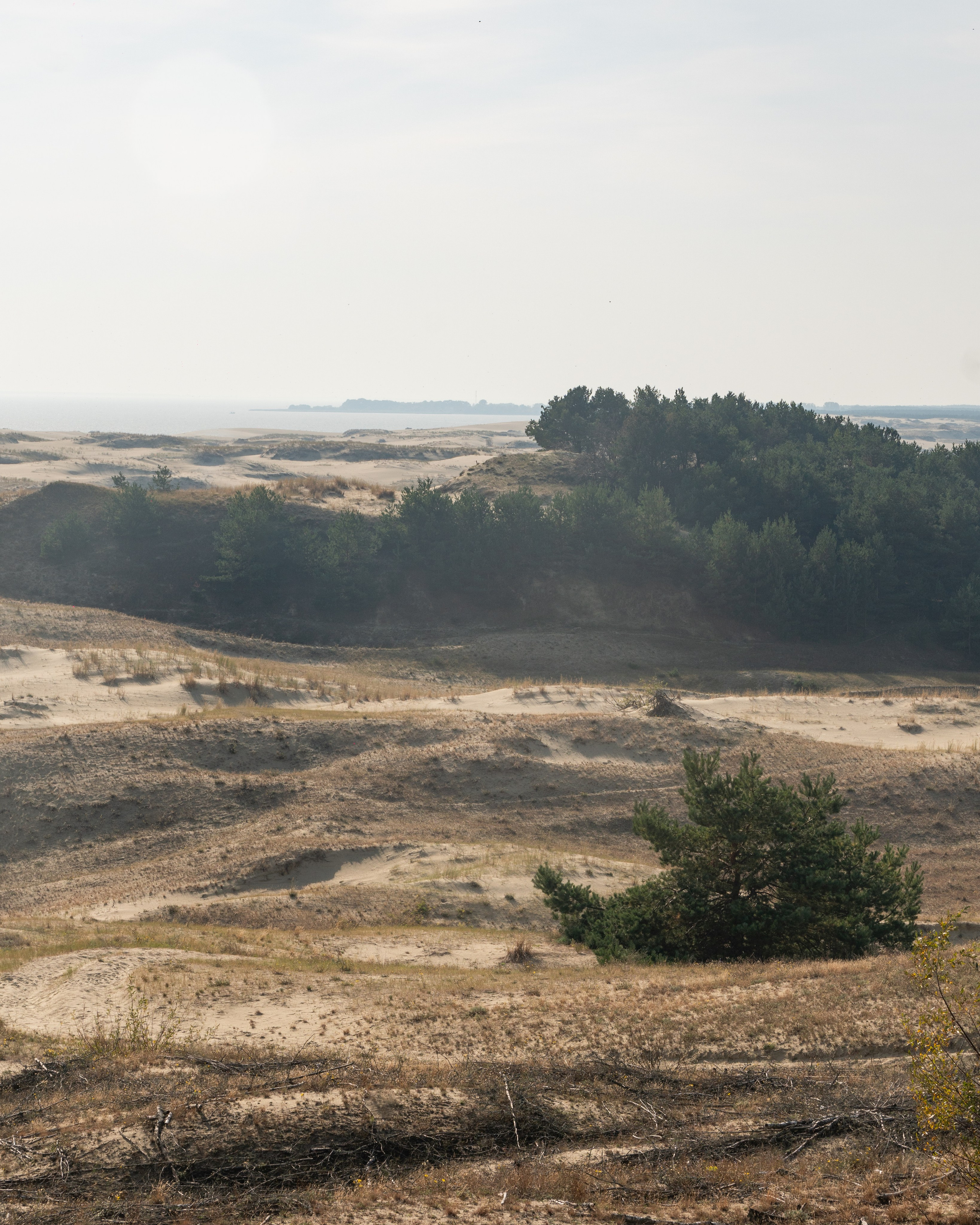 Калининградская область. Gusarov Travel Photography