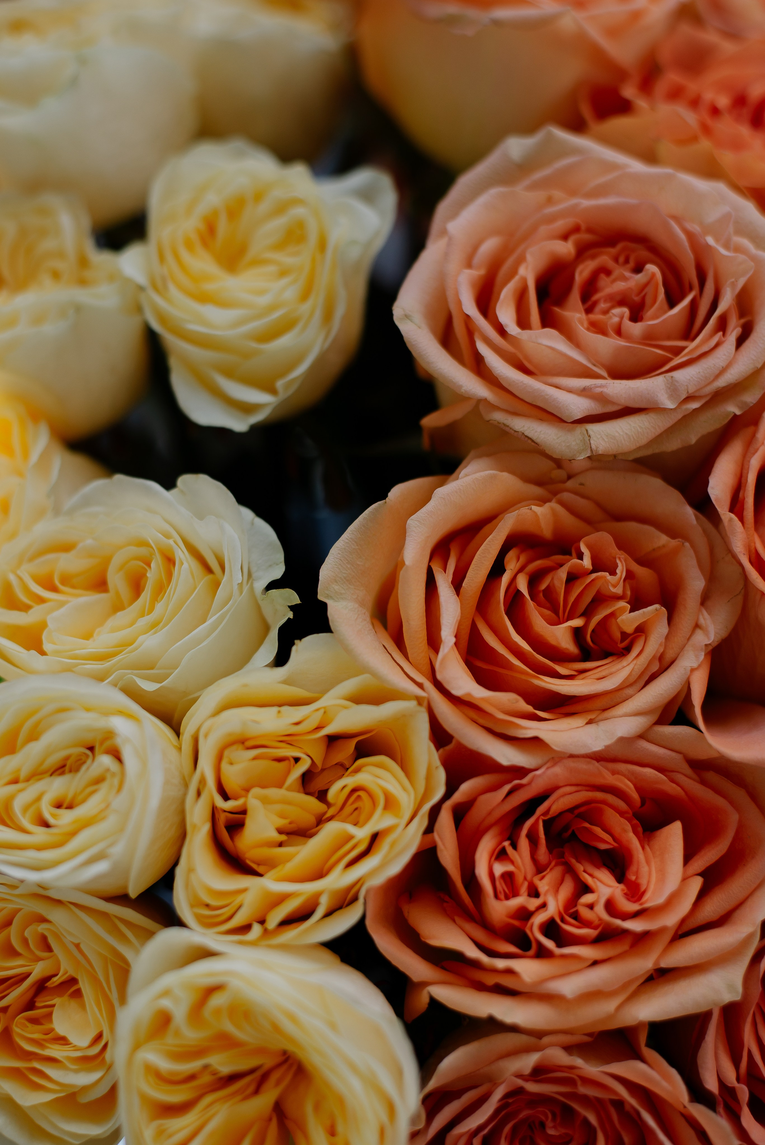 Garden Street. Портретный фотограф Ксения Люндовская