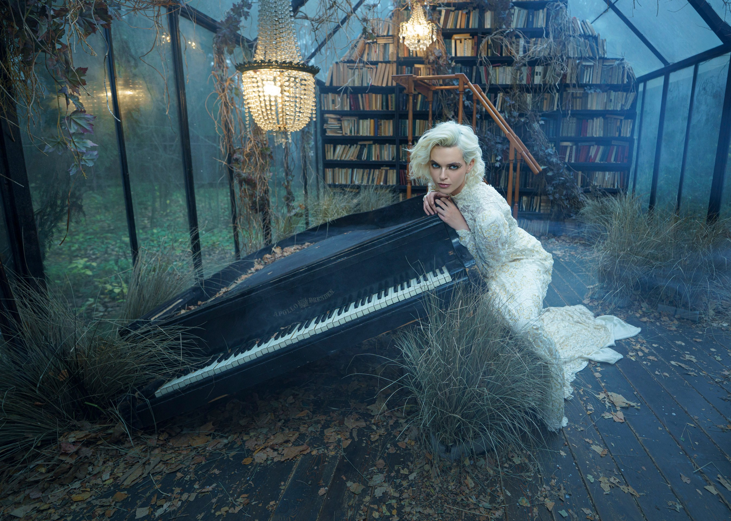 Библиотека. Фотограф Сергей Танков