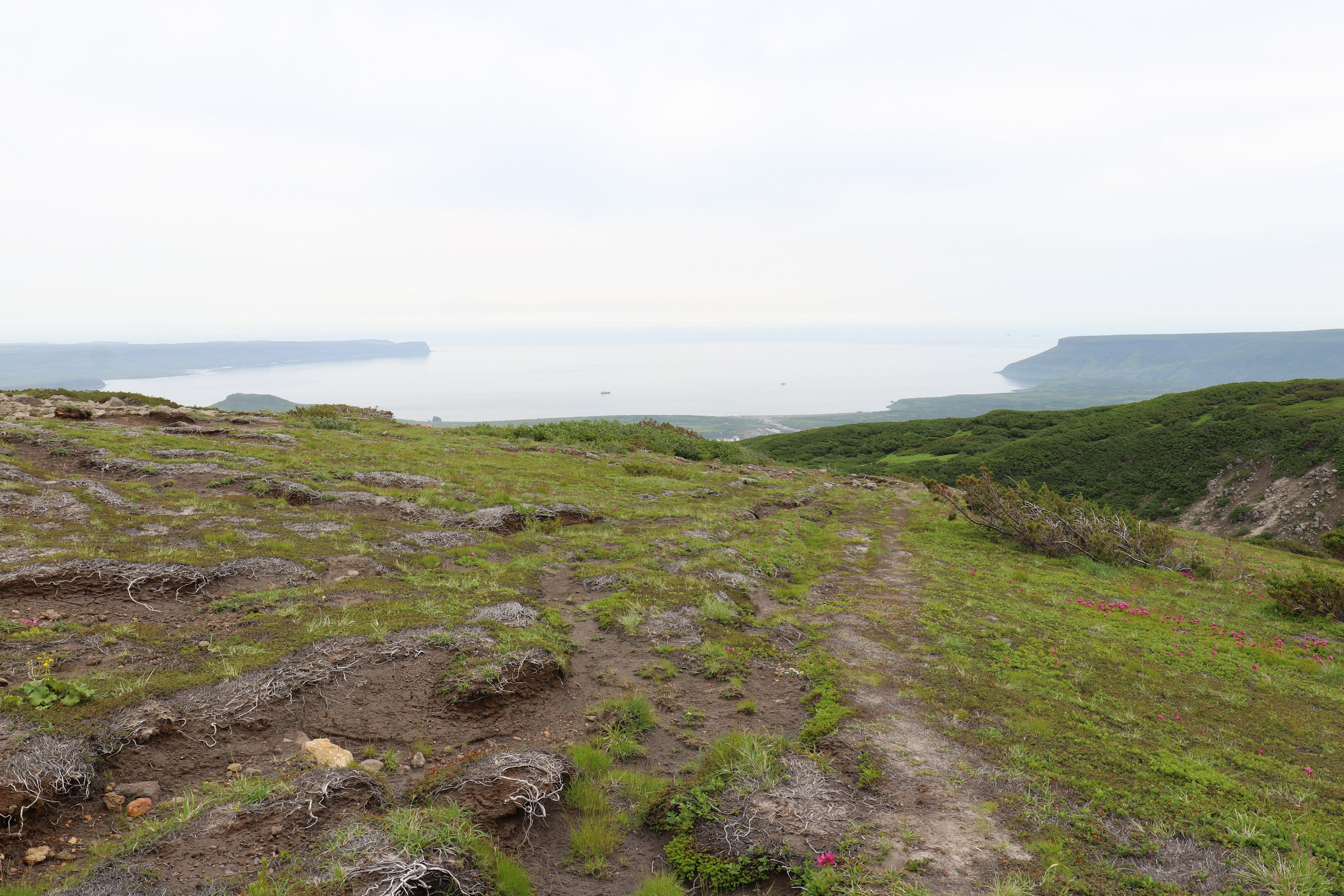 Камчатка и о. Парамушир. Июль 2024. Путешественник-фотограф из Санкт-Петербурга Татьяна Свистулина