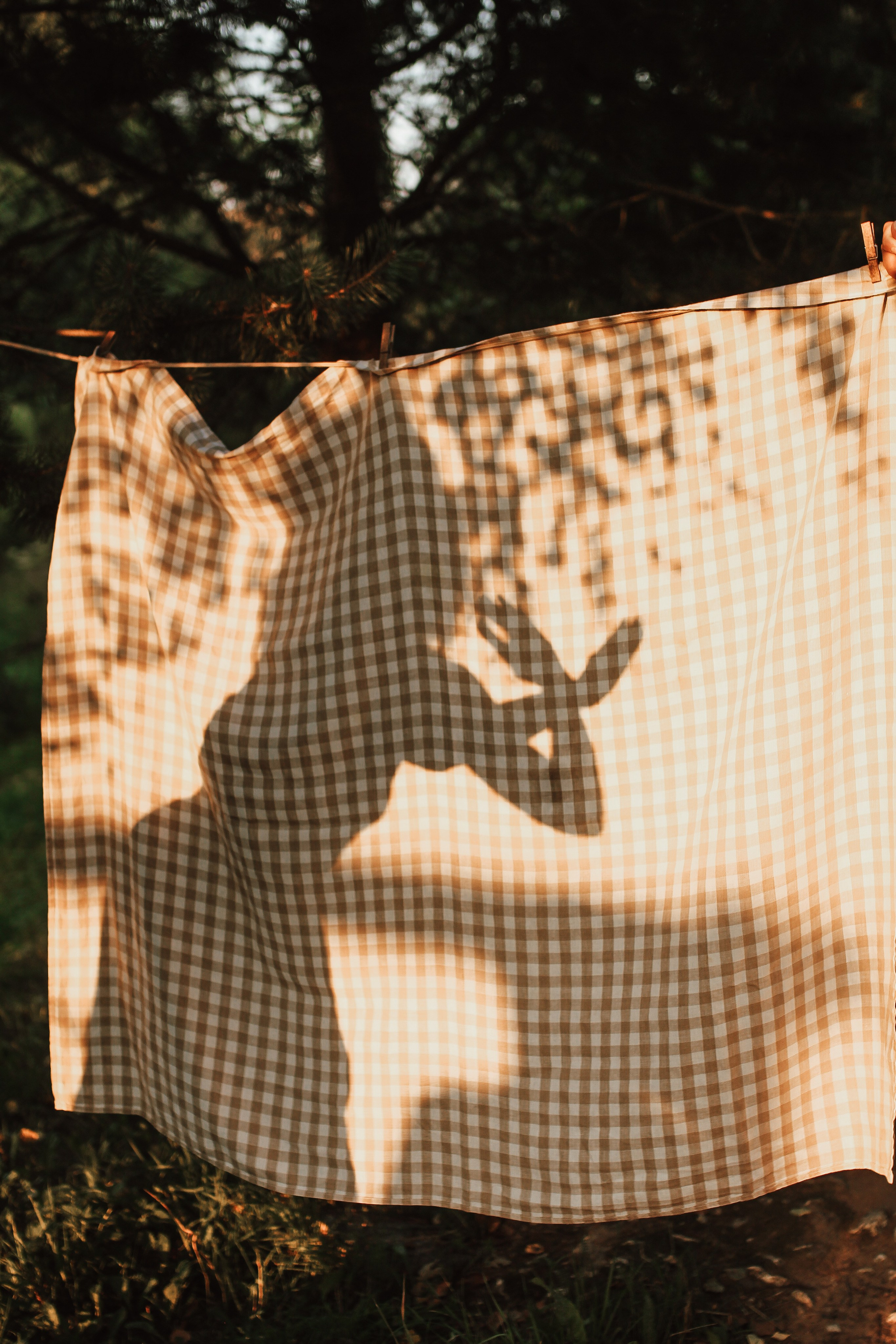 Индивидуальная. Семейный Life style фотограф в Великом Новгороде Юлия Ефимова