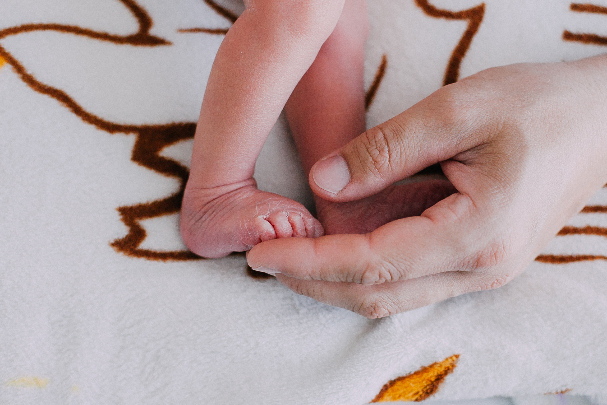 Встреча из роддома.Вера. Семейный и детский фотограф