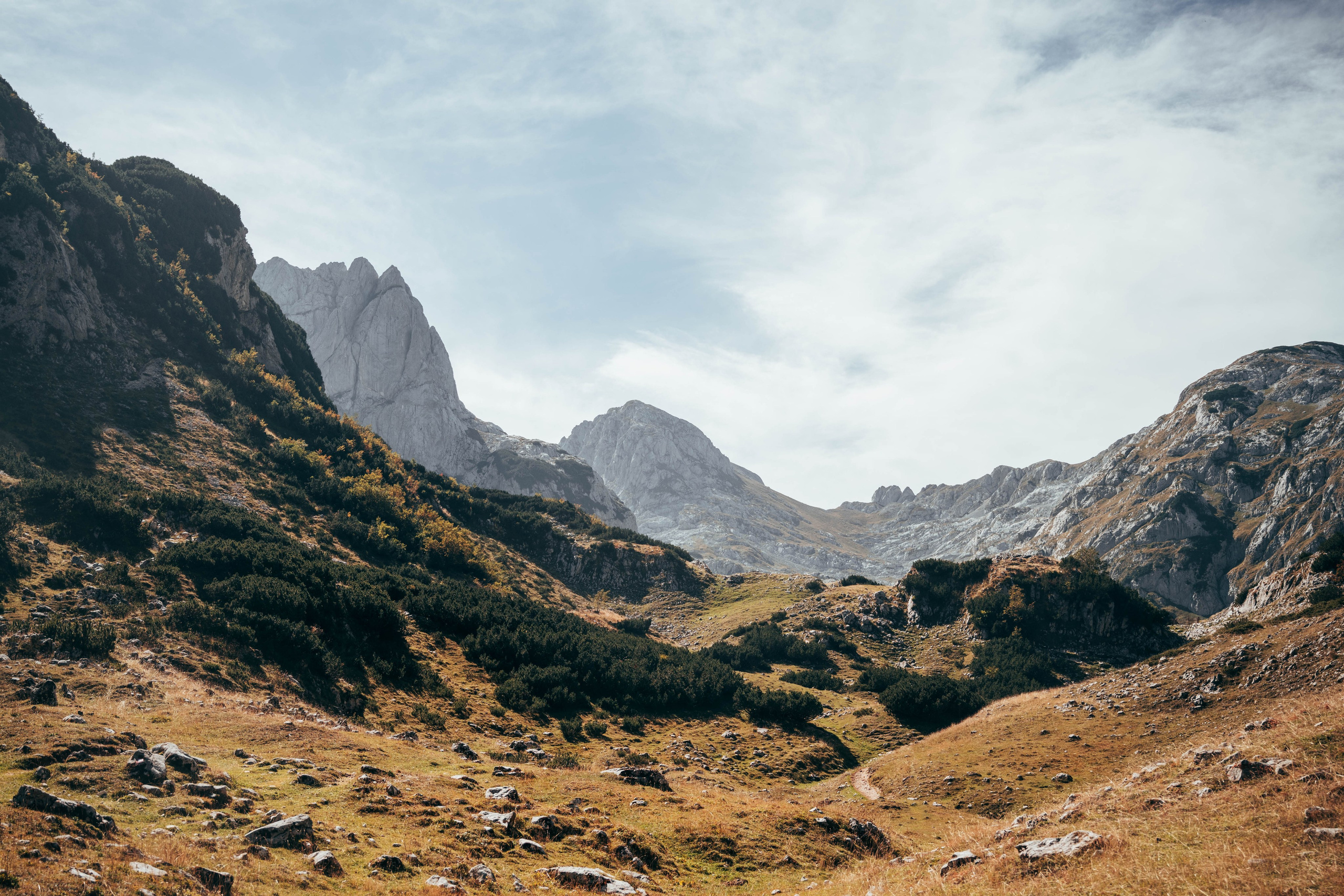 ДОЛИНА ЛОКВИЦЕ. ЧЕРНОГОРИЯ. Фотограф в Белграде Чугреева Елена