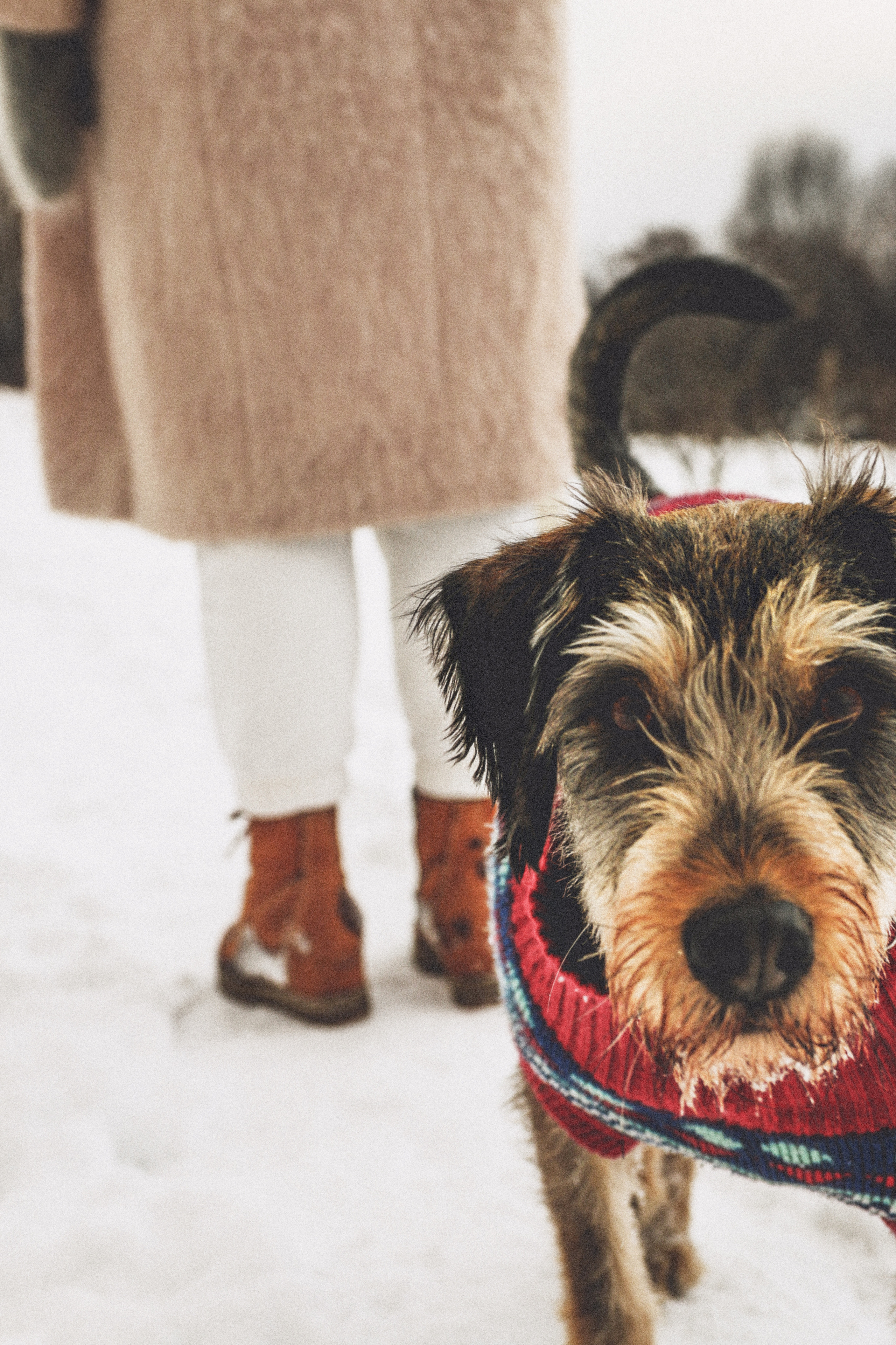 Фотограф жуковский. Детский и семейный фотограф Анастасия Шереметьева в Москве, Жуковском,
