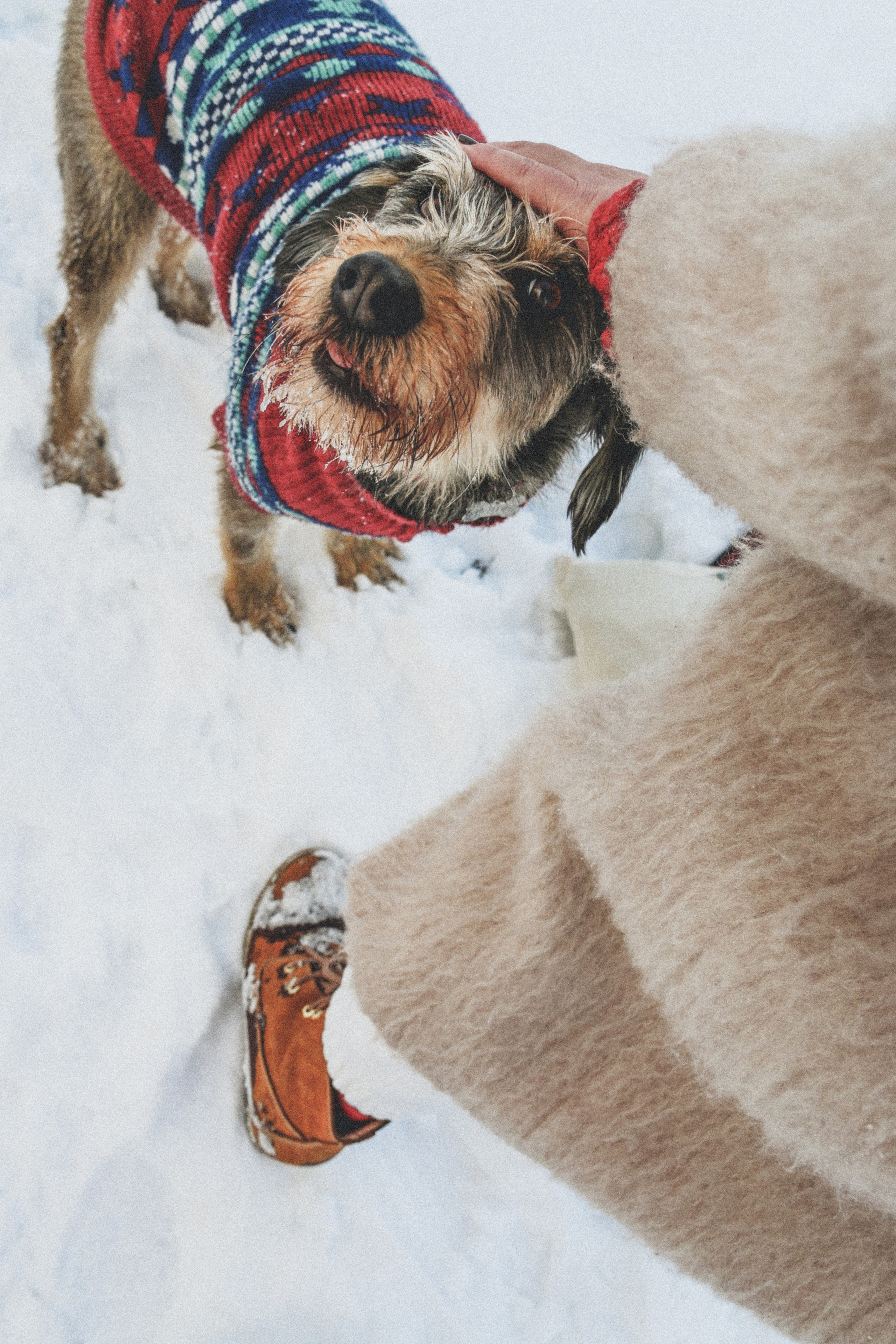 Фотограф жуковский. Детский и семейный фотограф Анастасия Шереметьева в Москве, Жуковском,