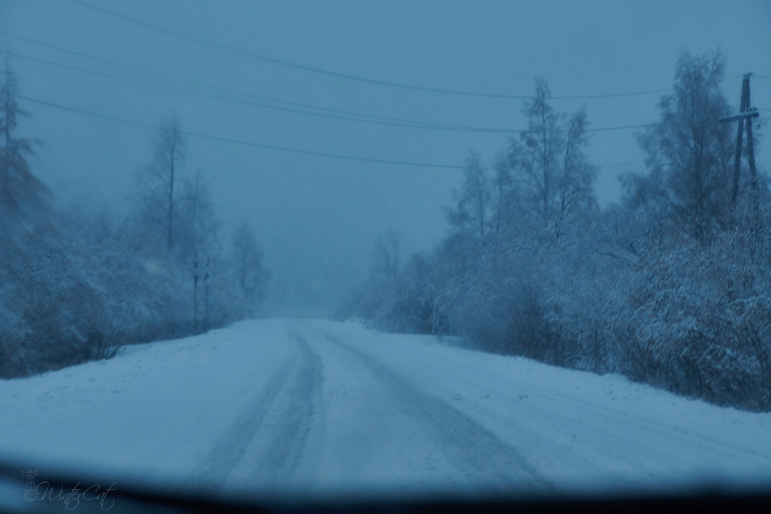 Женя и Снег. Портретный и репортажный фотограф в Магадане Андрей Нефедов WinterCatPhoto