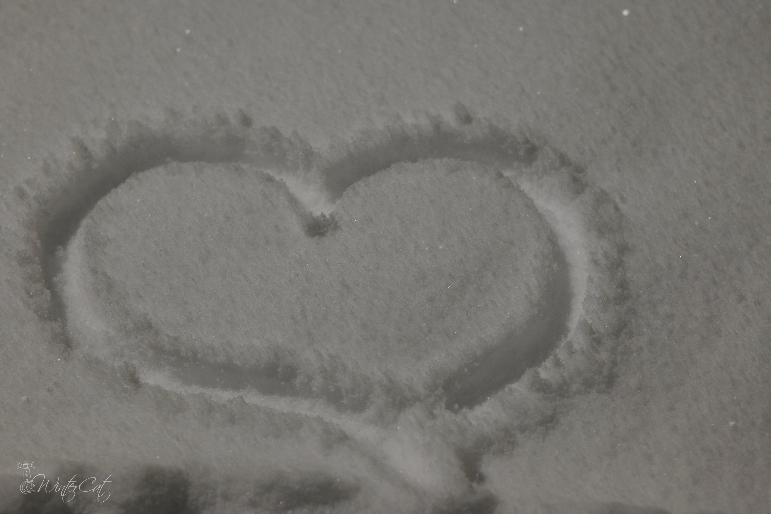 2024(33). Портретный и репортажный фотограф в Магадане Андрей Нефедов WinterCatPhoto