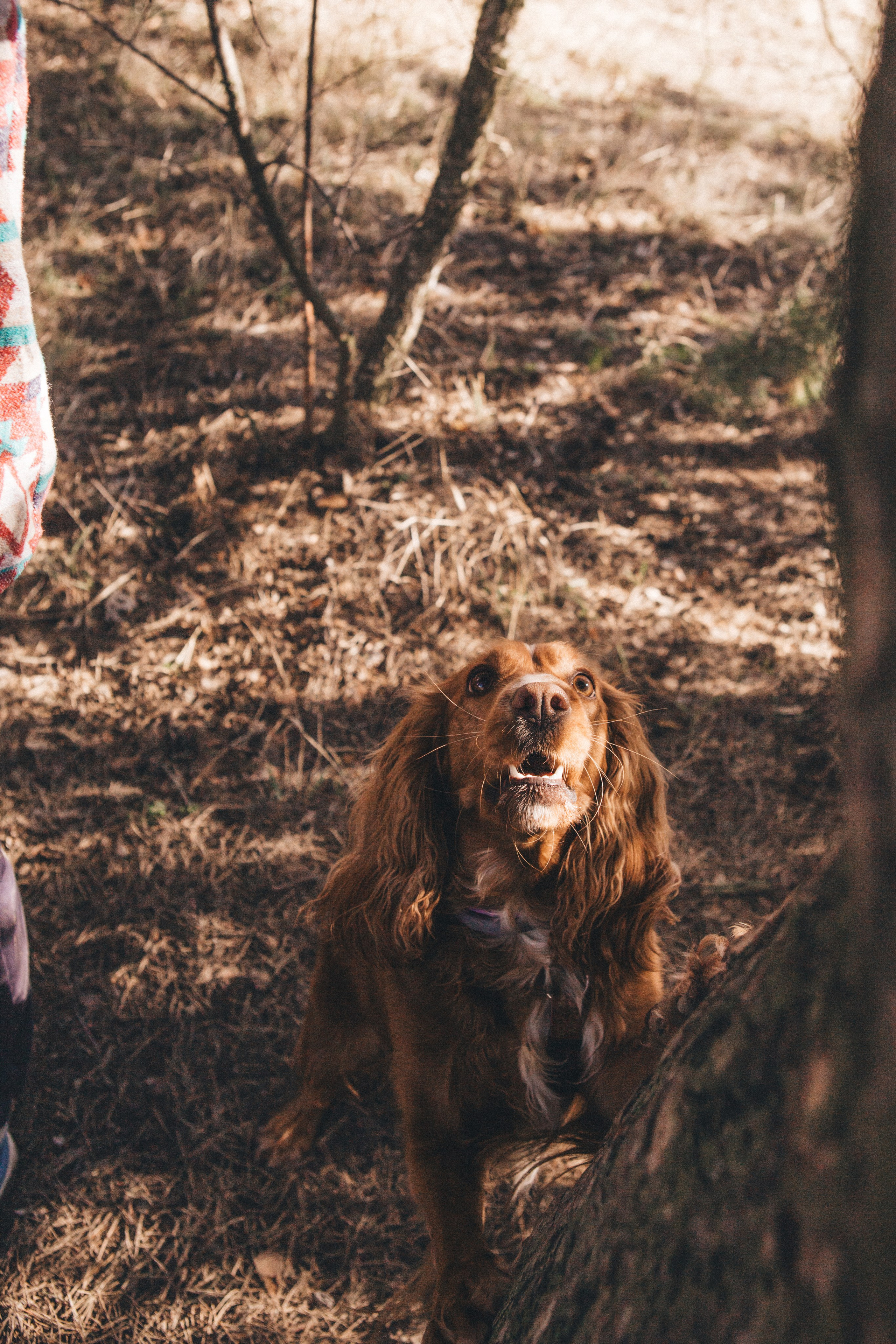 Julia & Jessie. Portrait, family and pet photographer in Cyprus, Ksenia Bourdelle