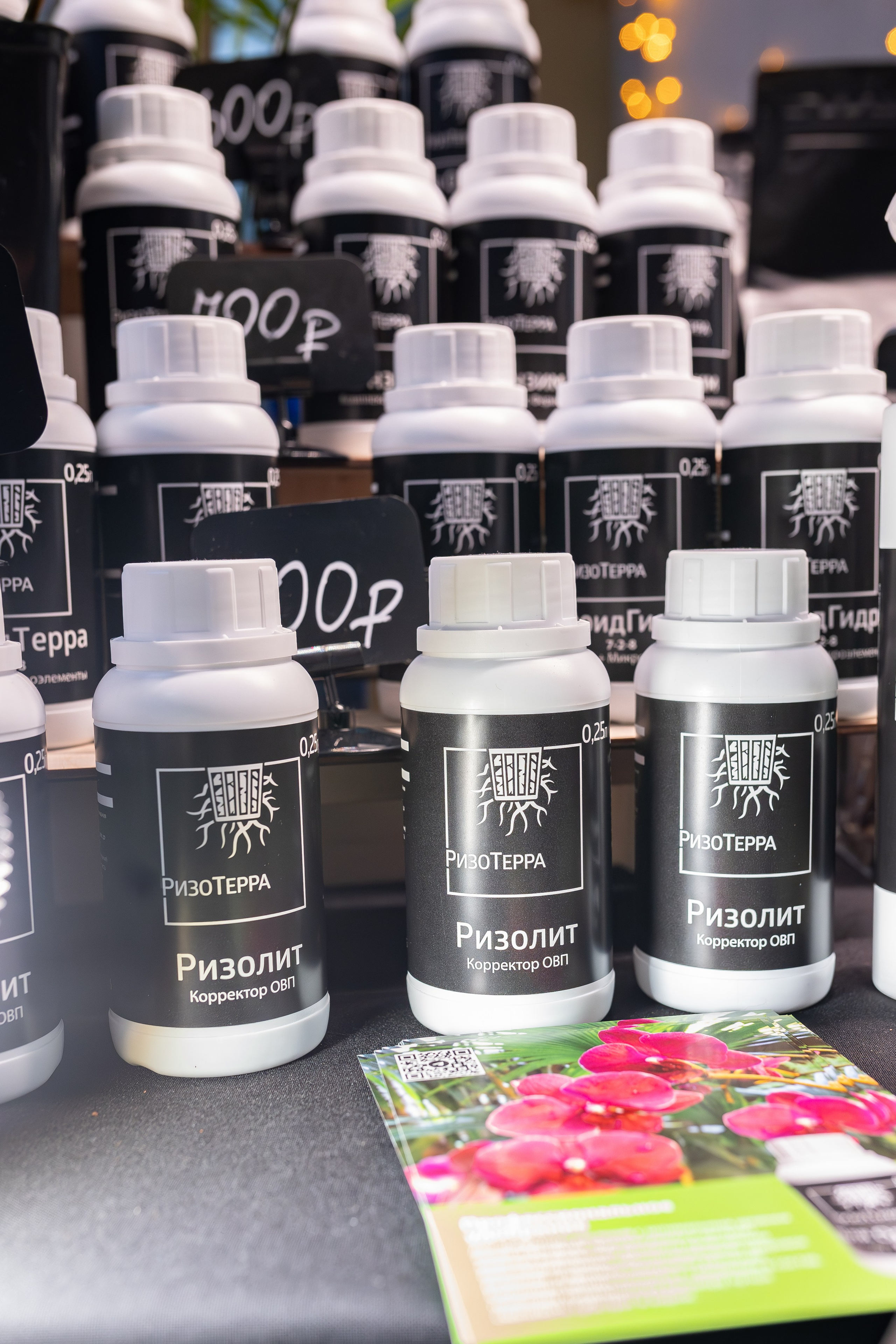 Орхидиум 12.2025. Александра Куликова фотограф, Москва