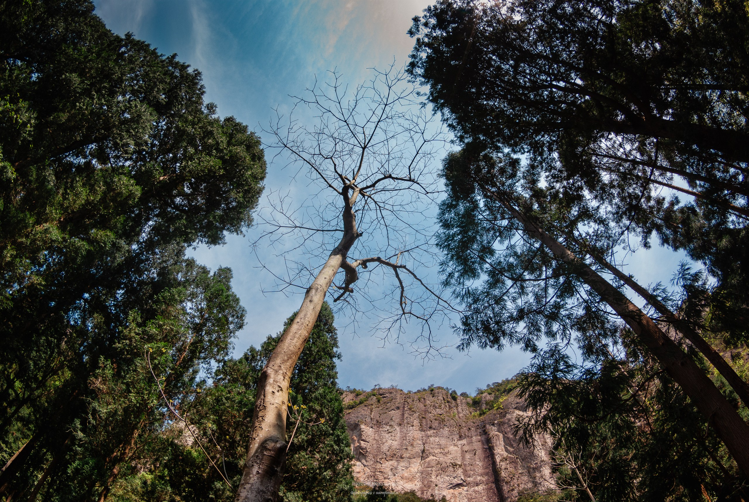 Пейзажная фотография. Авторские стильные фотокартины