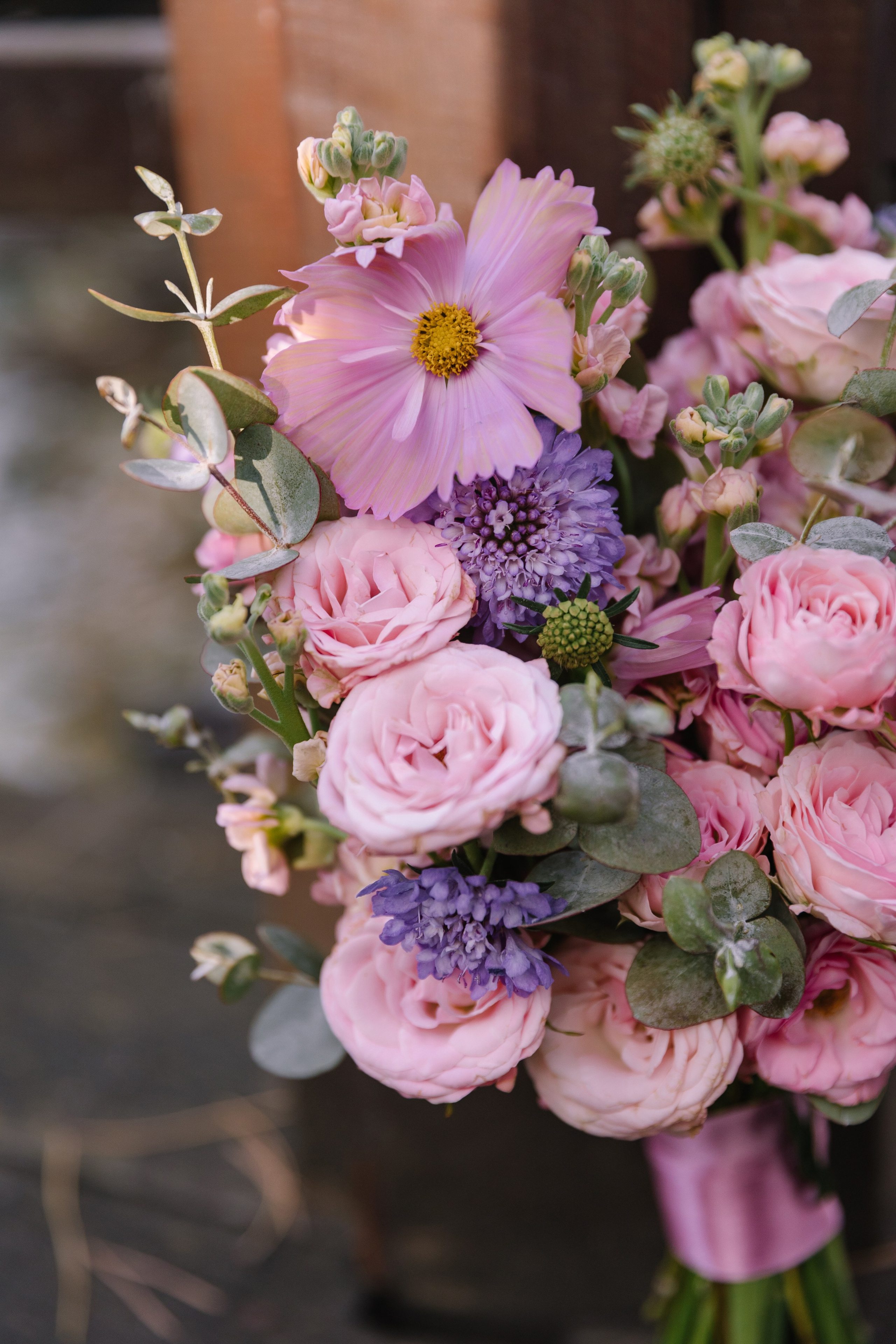 Фотограф Елена Краснопевцева