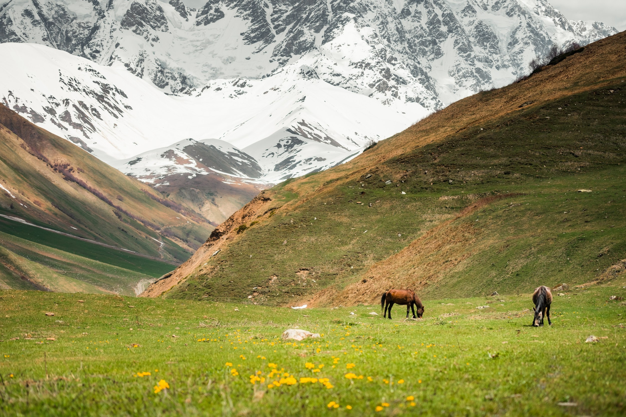 Georgia. Photographer in Tokyo Anatolii Ozarto