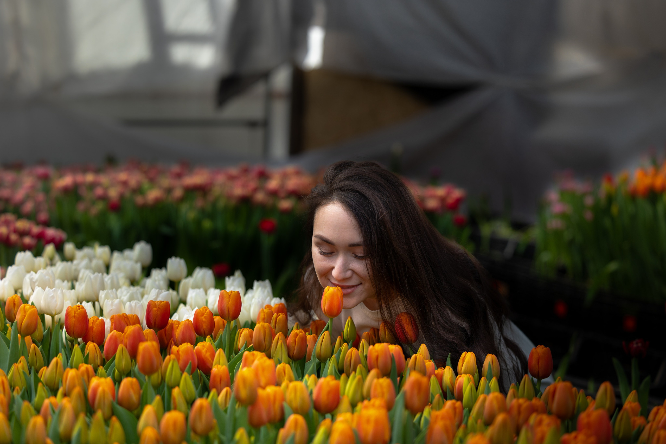 Фотосессия в теплице с тюльпанами. Свадебный фотограф Астрахань