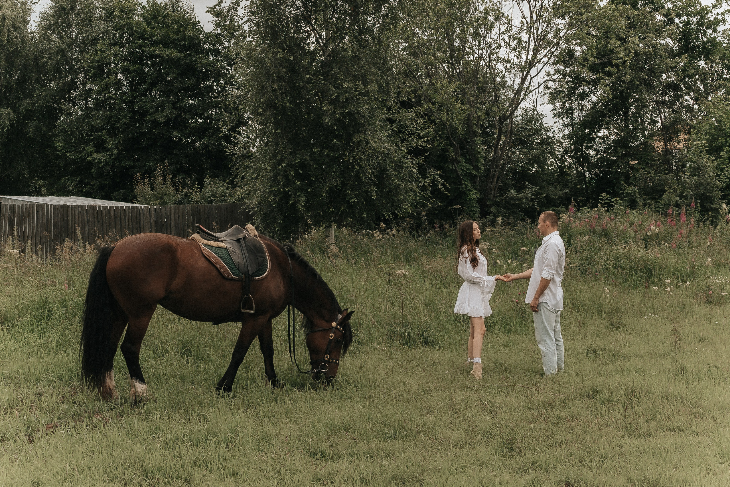 Love Story с лошадьми. Свадебный фотограф Пермь