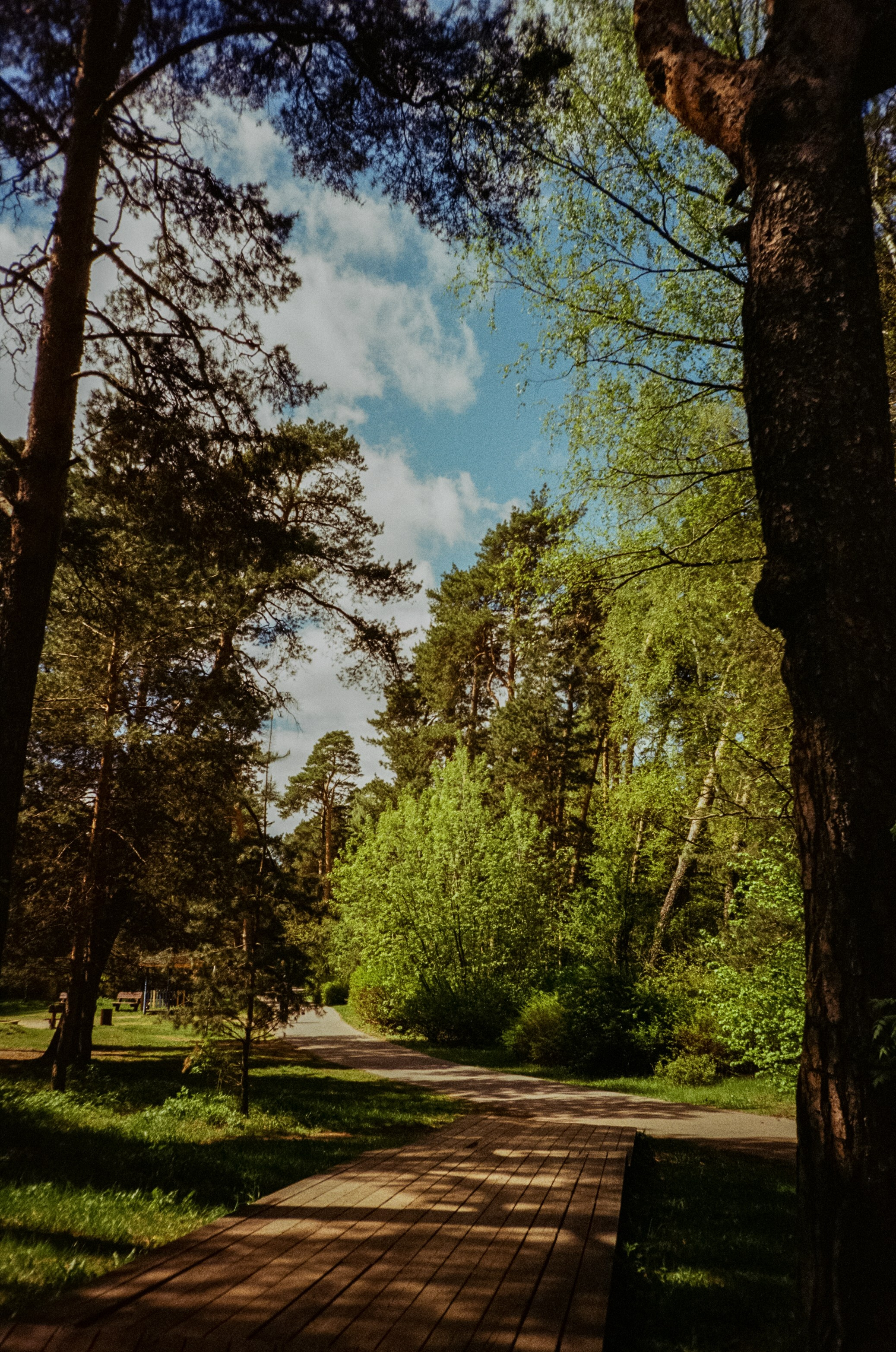 Ricoh R1 | Kodak ProImage 100 | 6 мая 2025 года СерБор