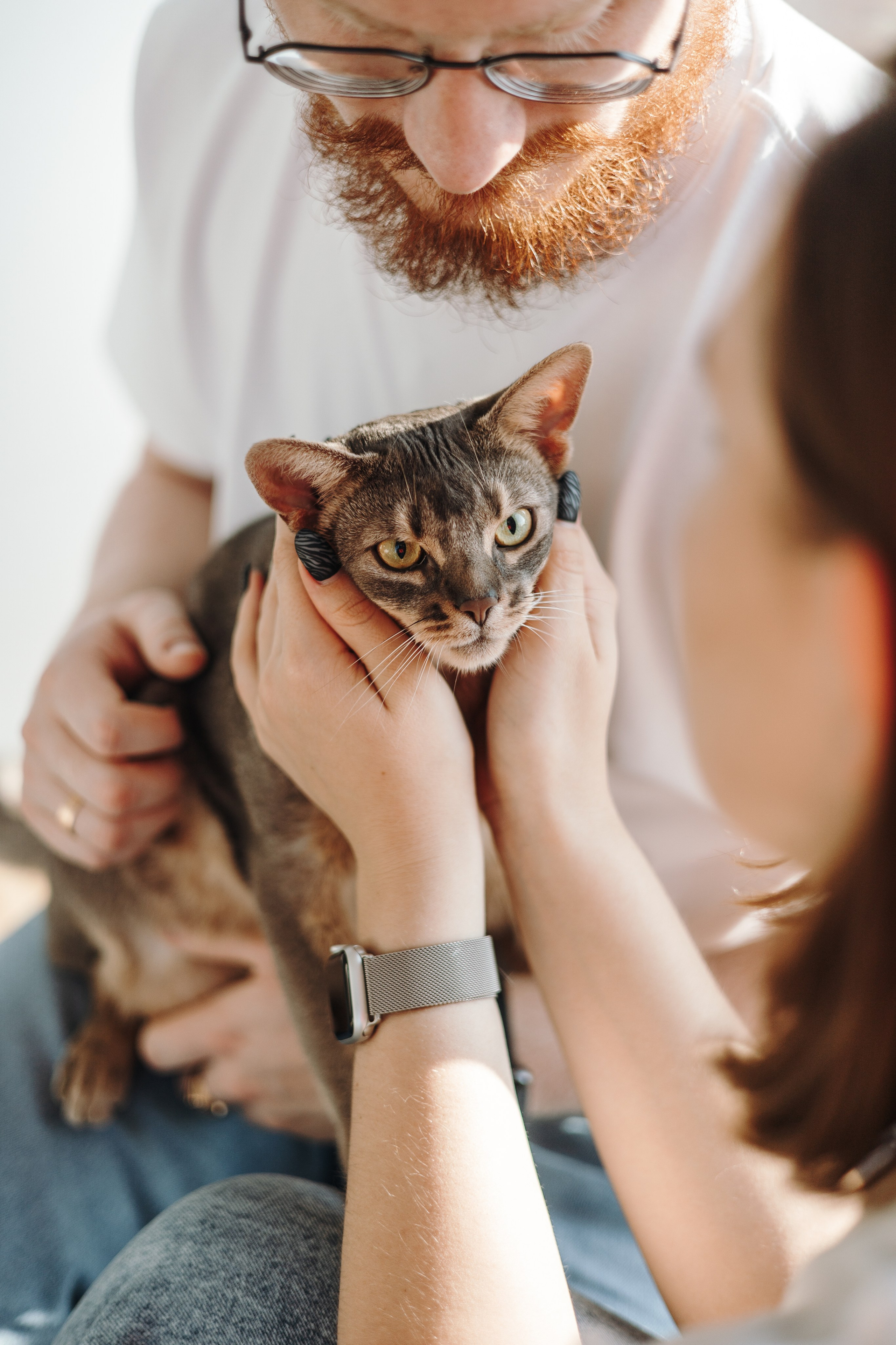 Циско и его семья. Фотограф — Анималист | Санкт-Петербург