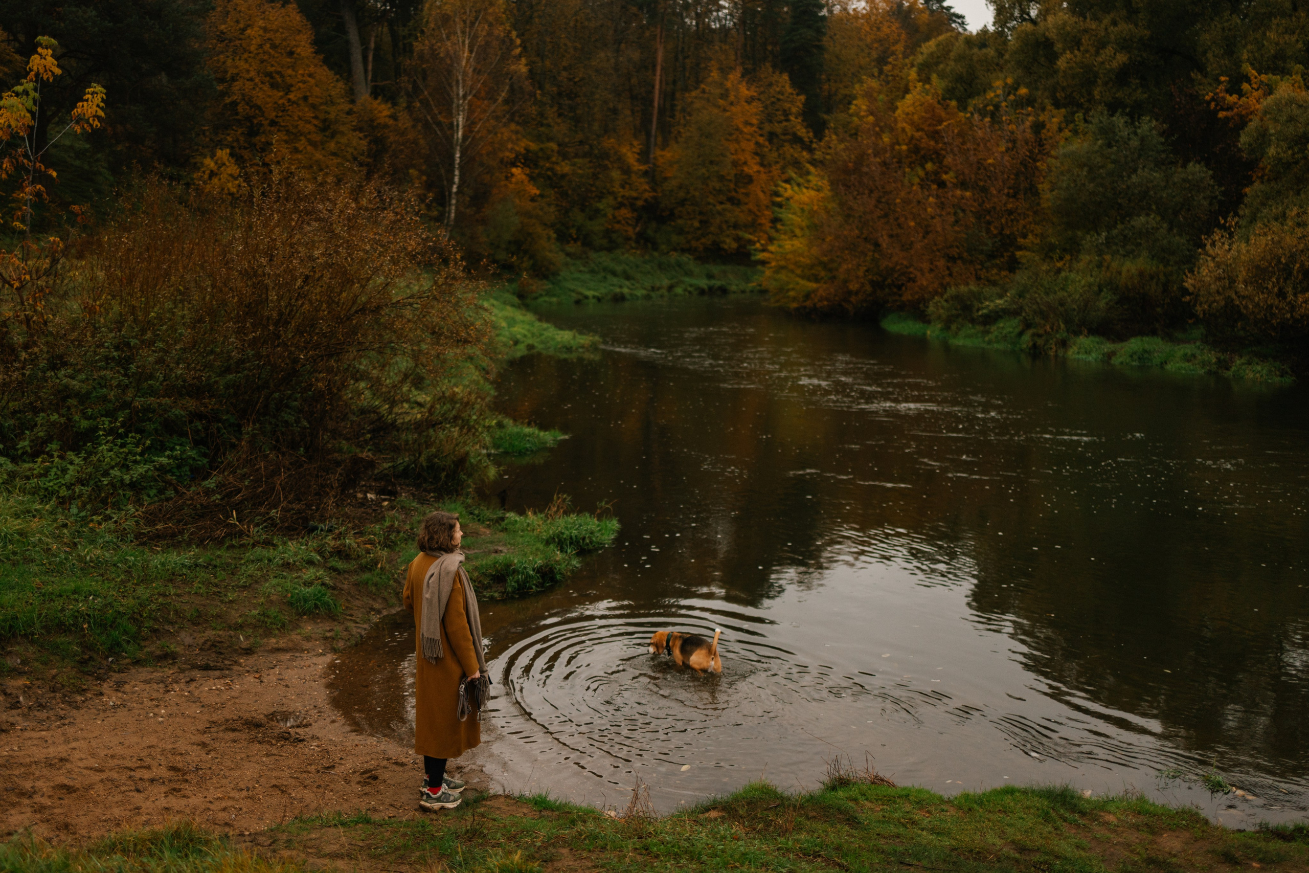 Лена и Тайгер. Фотограф — Анималист | Санкт-Петербург