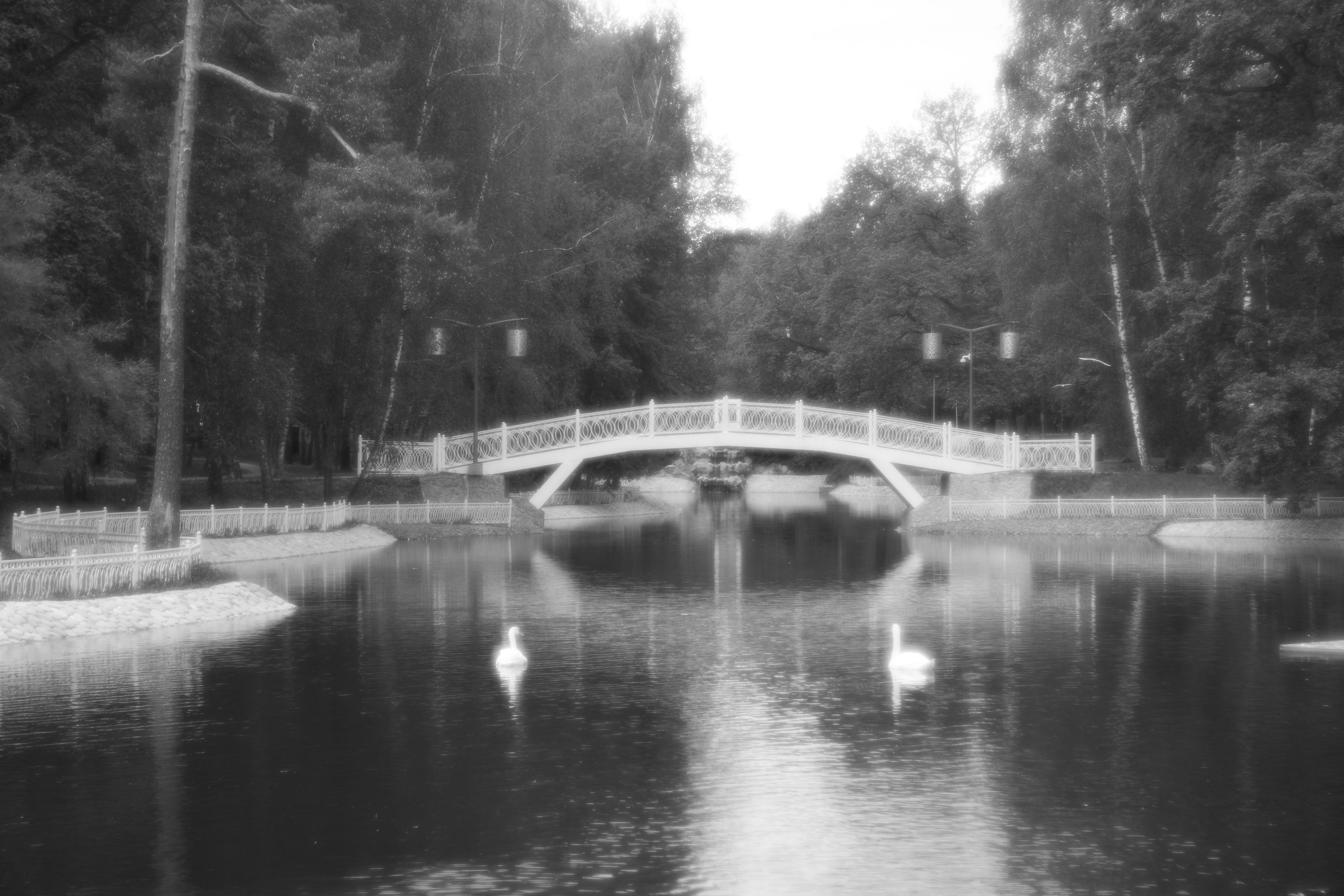 Пикториализм в природе. Сайт фотографа Виталия Дени