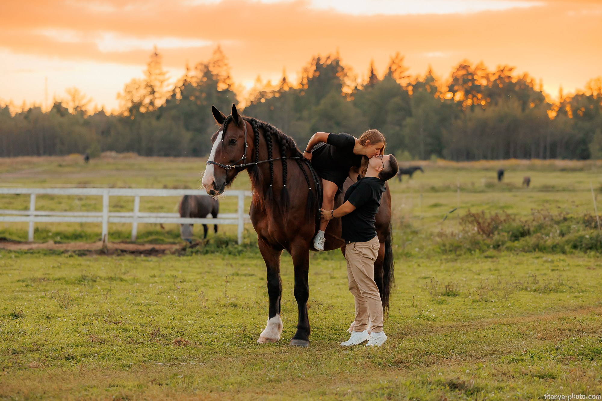 Закатная семейная фотосессия: про Настю и её дружную семью. Фотограф собак, фотограф-анималист Аня Титова (Titanya). Москва