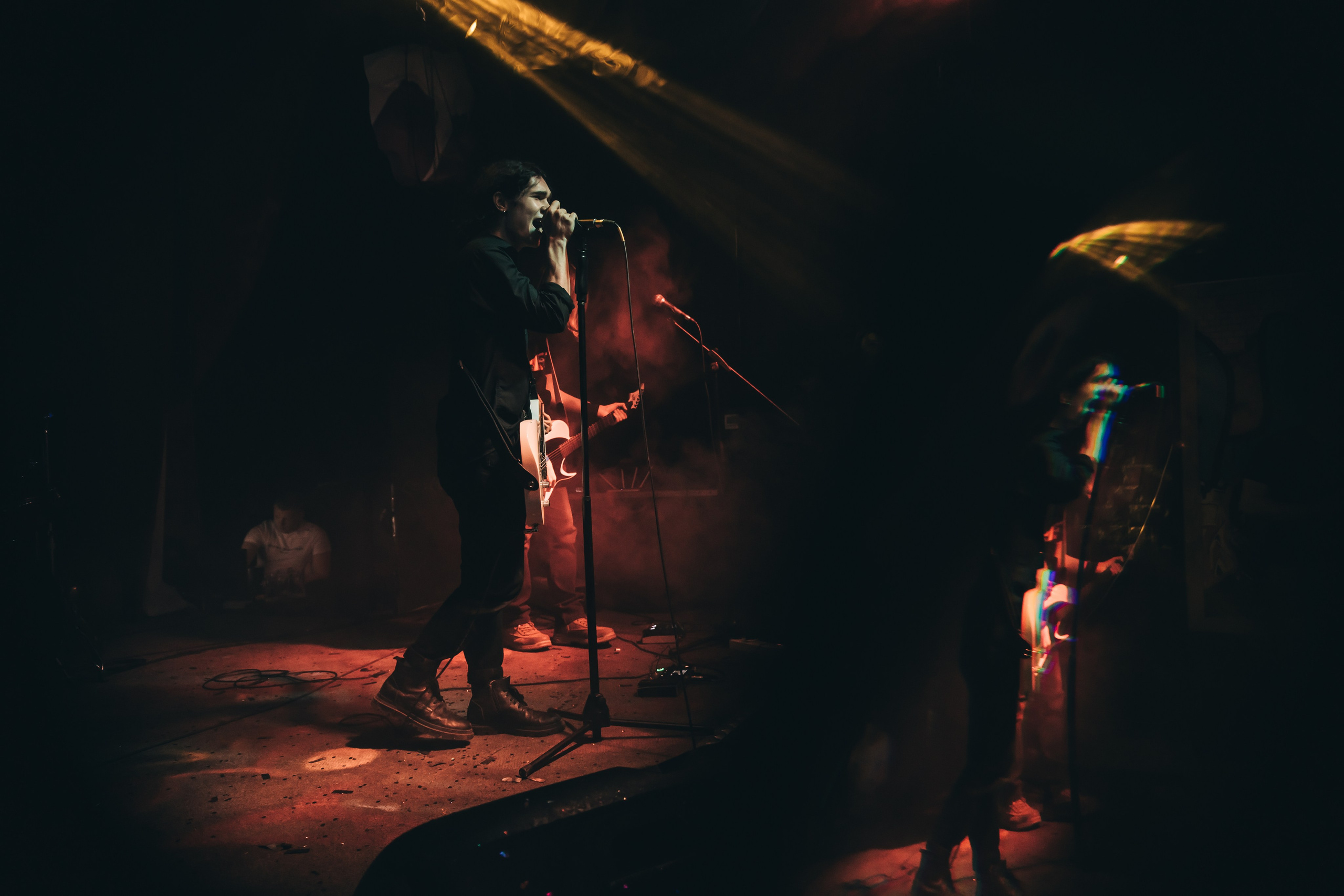 Rose park. Рок-опохмелки, клуб-галерея Эрмитаж. 06.01.2025. Фотограф Регина Крикунова г. Красноярск