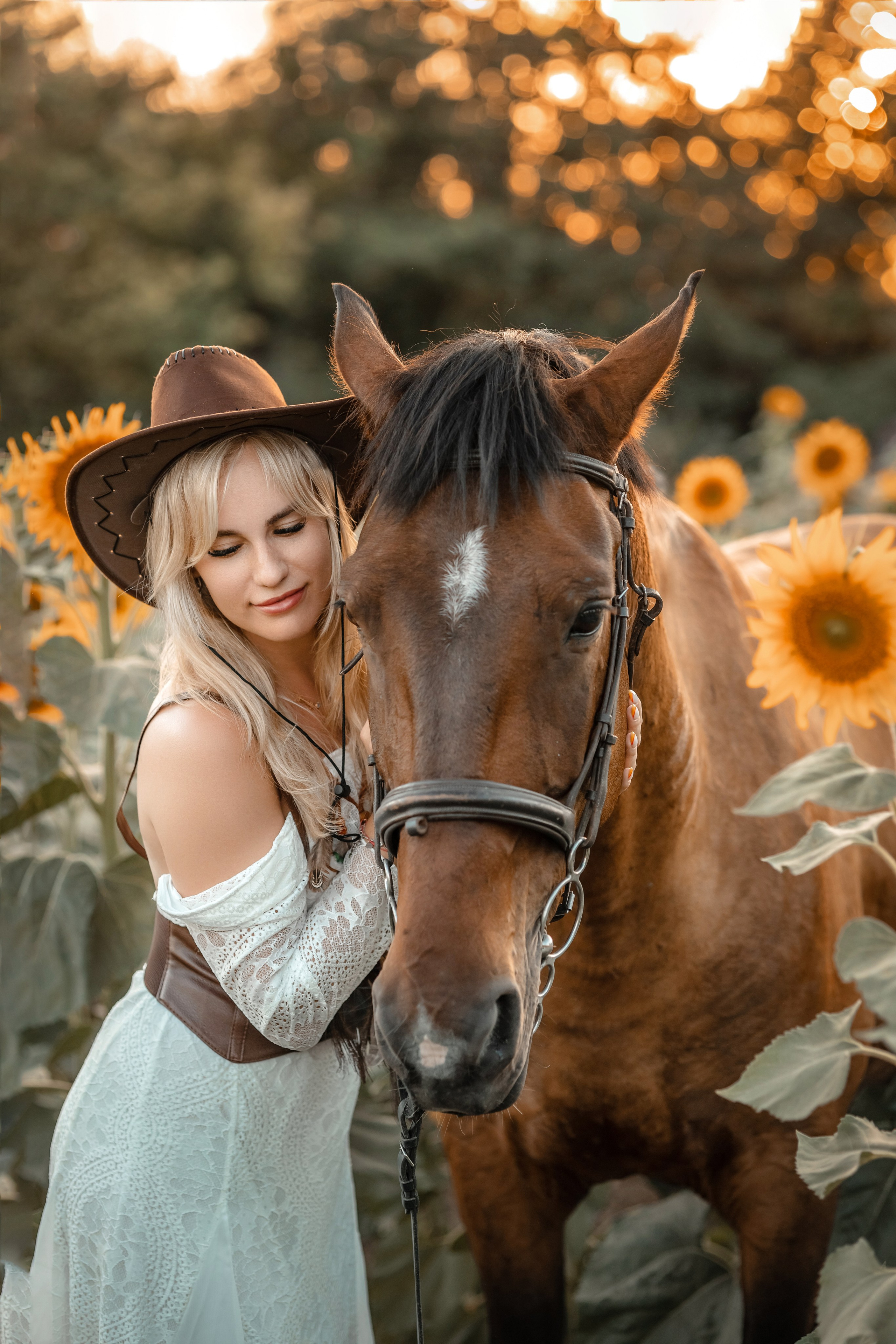 Солнечные подсолнухи. Художественный фотограф Анапа Александра Долбикова