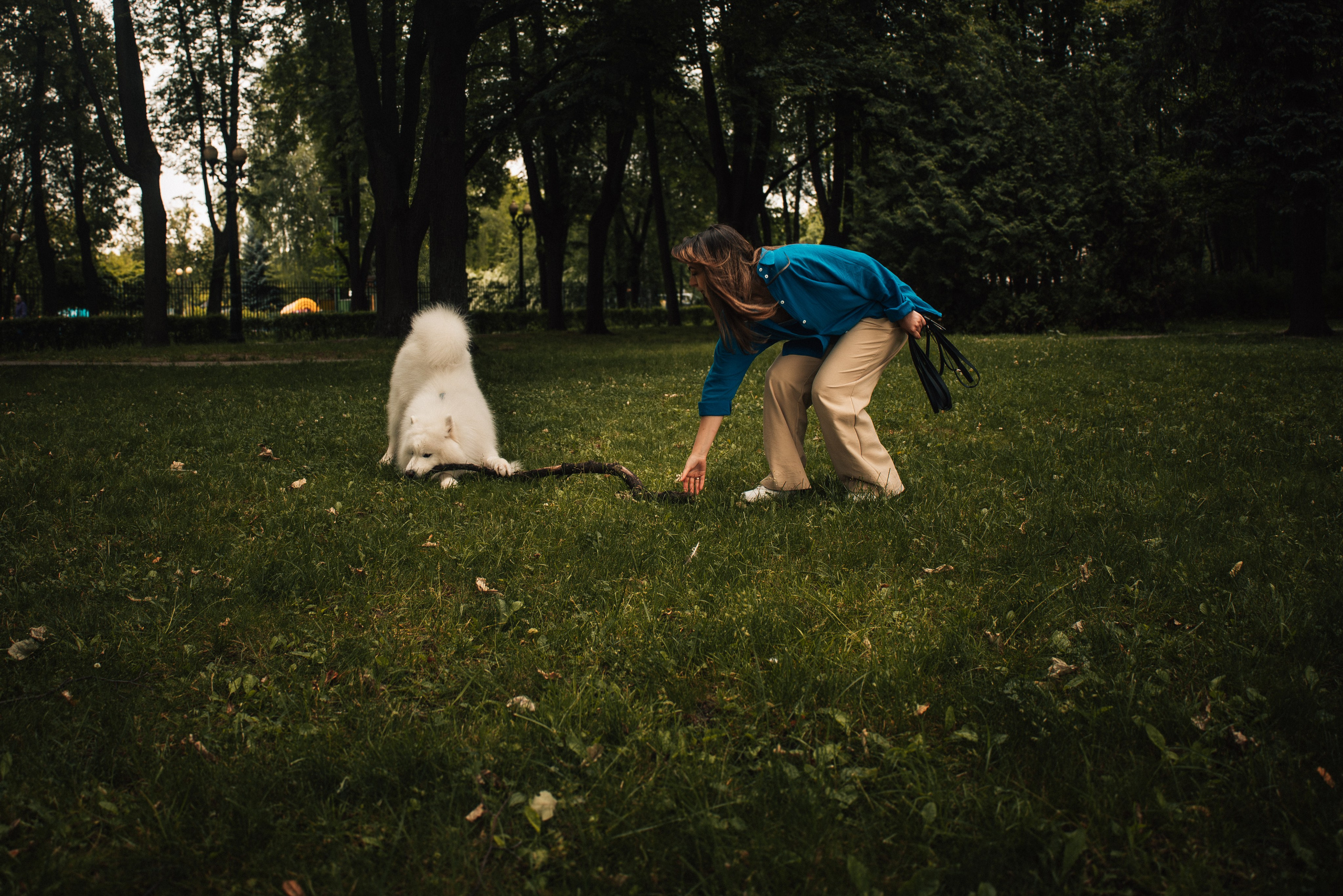 Прогулочная фотосессия девушки в парке с собакой самоедом. Фотограф-анималист в Москве Екатерина Тихонова