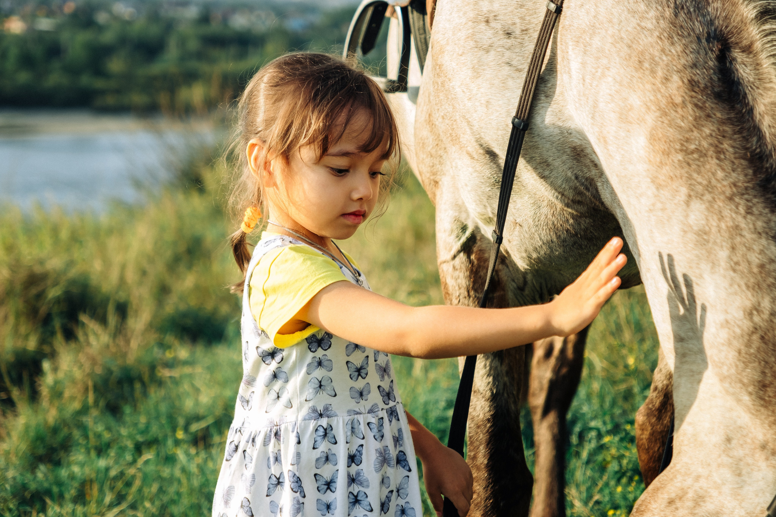 Фотопрогулка с лошадью. Фотограф в Иркутске Анна Мирошникова