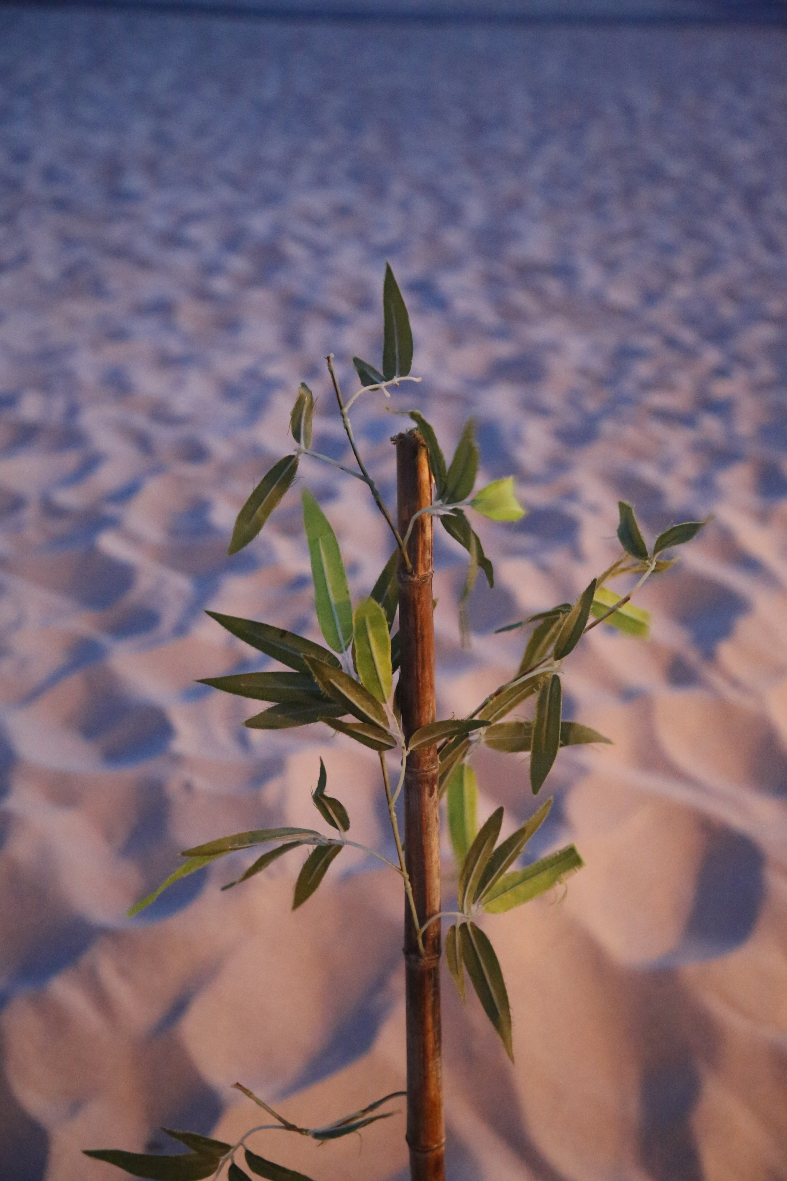 Esmoriz, Portugal. Andrey Filippov Photographer