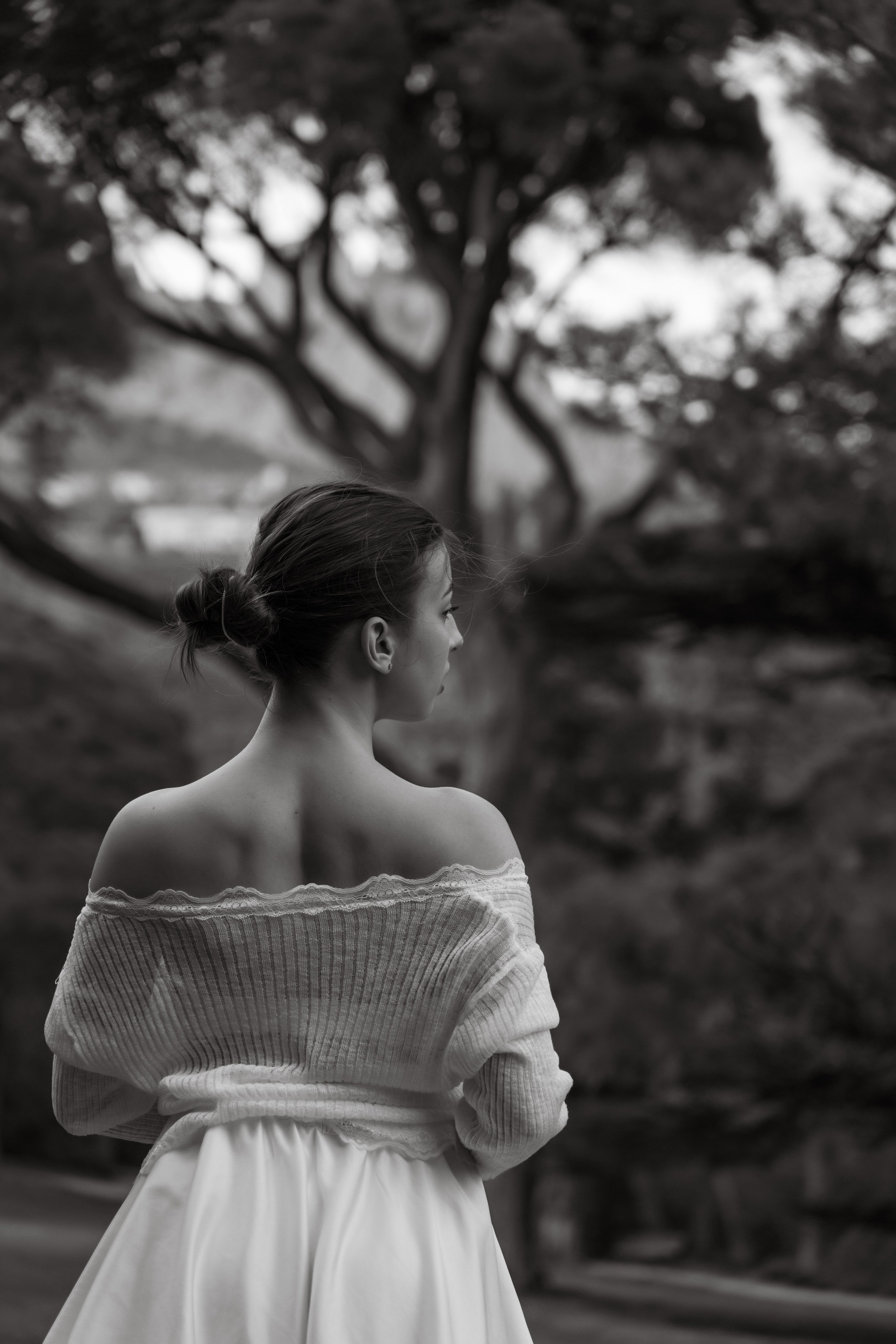 Под кроной вечности. Фотограф и Видеограф Севастополь Крым