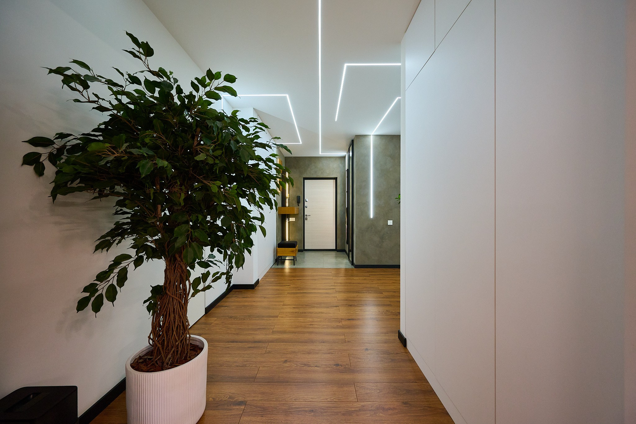 коридор в светлых цветах линейным светом и кустом и коричневым ламинатом