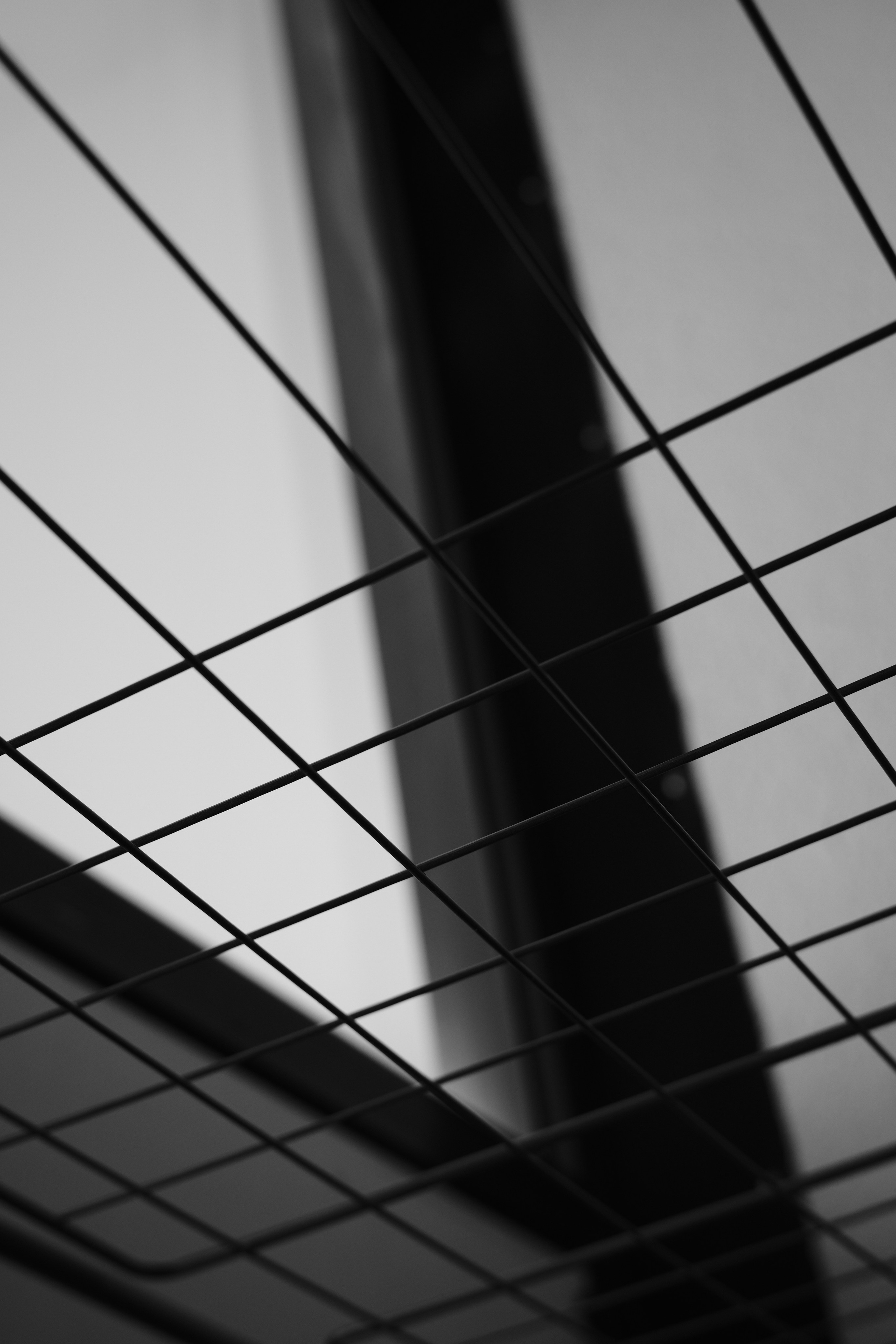 Street. Фотограф в Санкт-Петербурге Шевцов Андрей