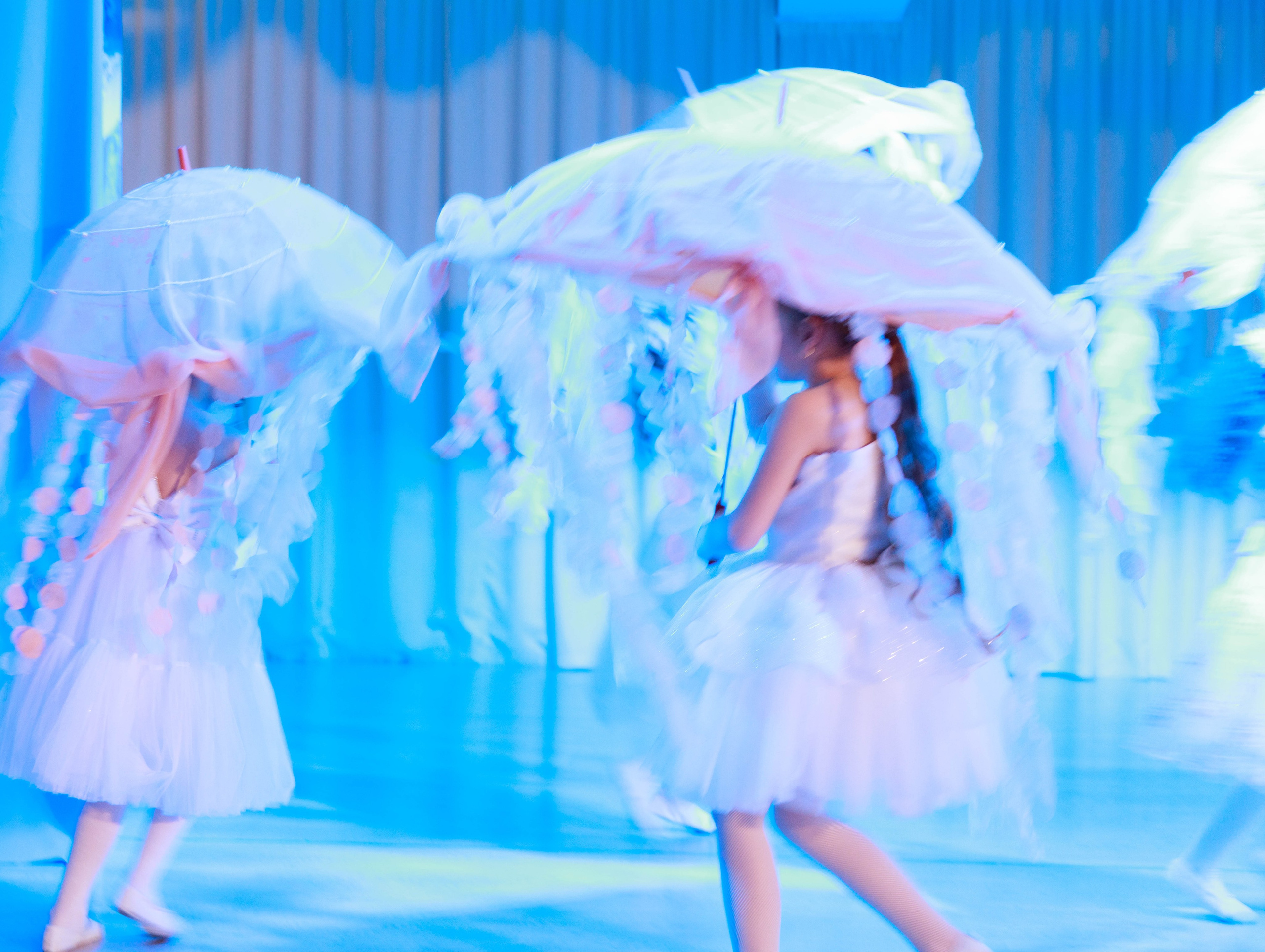 Сады. Репортажный фотограф в Новосибирске Алена Помазунова