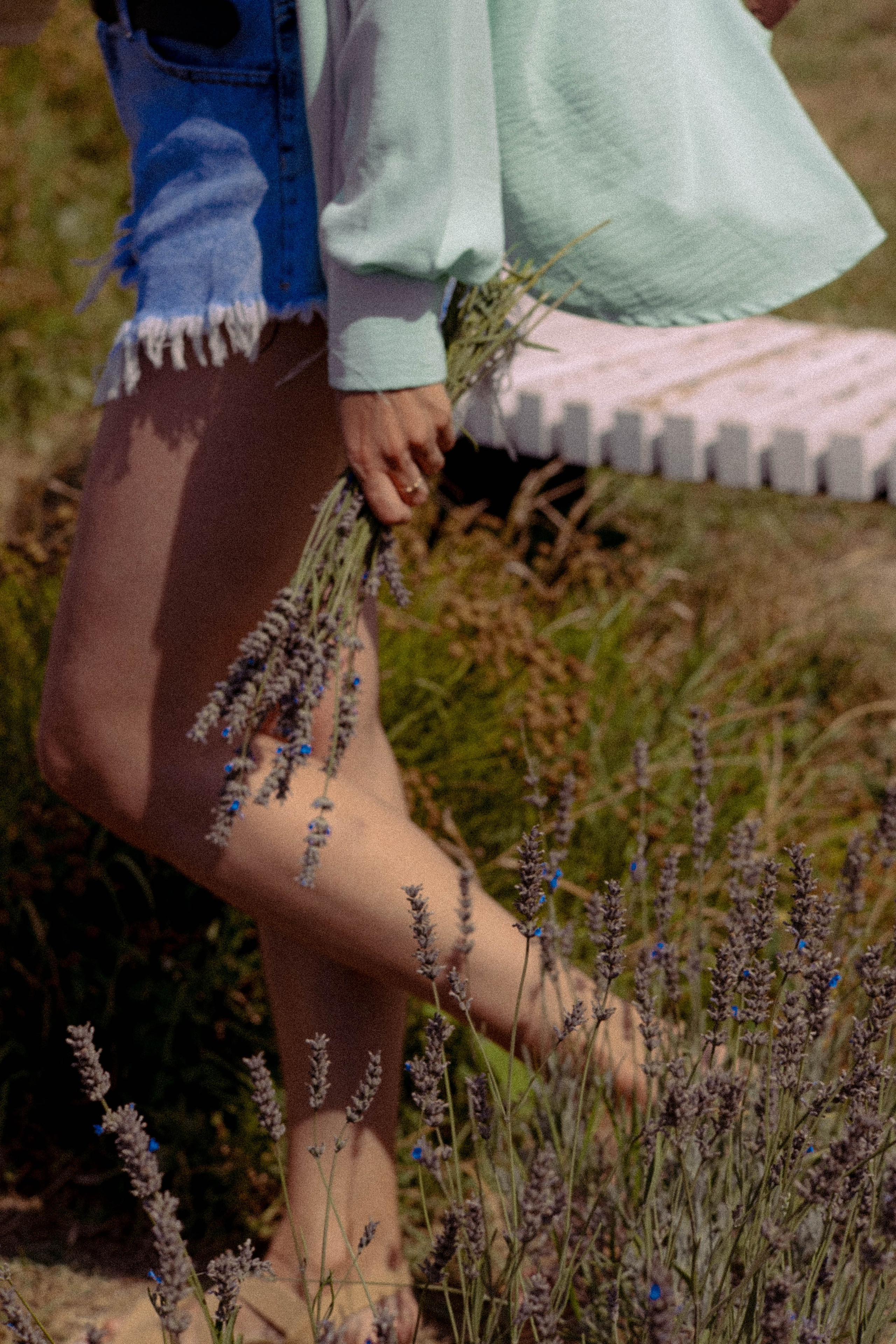 ЛАВАНВОДОВОЕ ПОЛЕ. Профессиональный фотограф, Санкт-Петербург — Виктория Богомолова