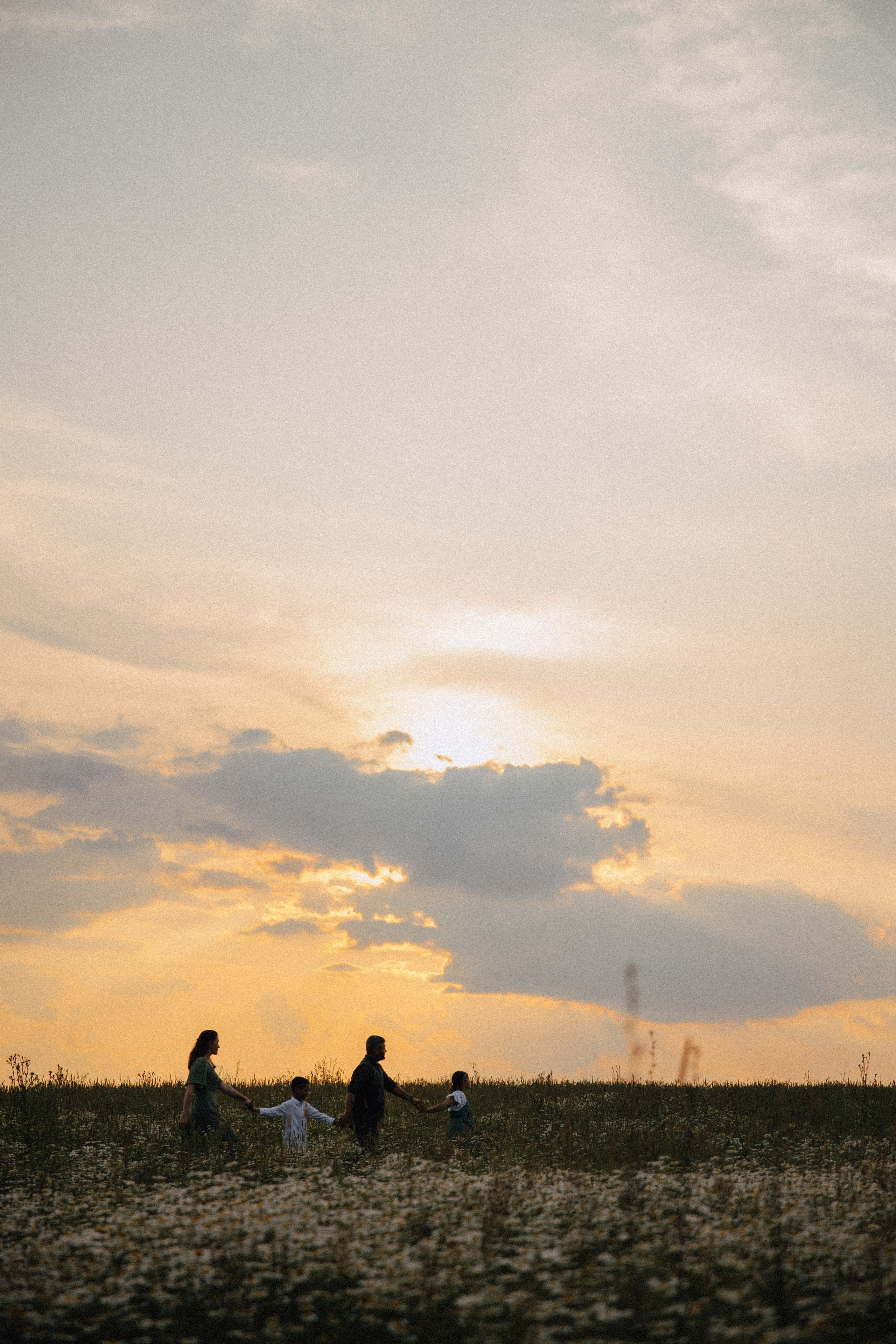 Ромашковое поле. Семейный и свадебный фотограф в Москве Вероника Жибинова