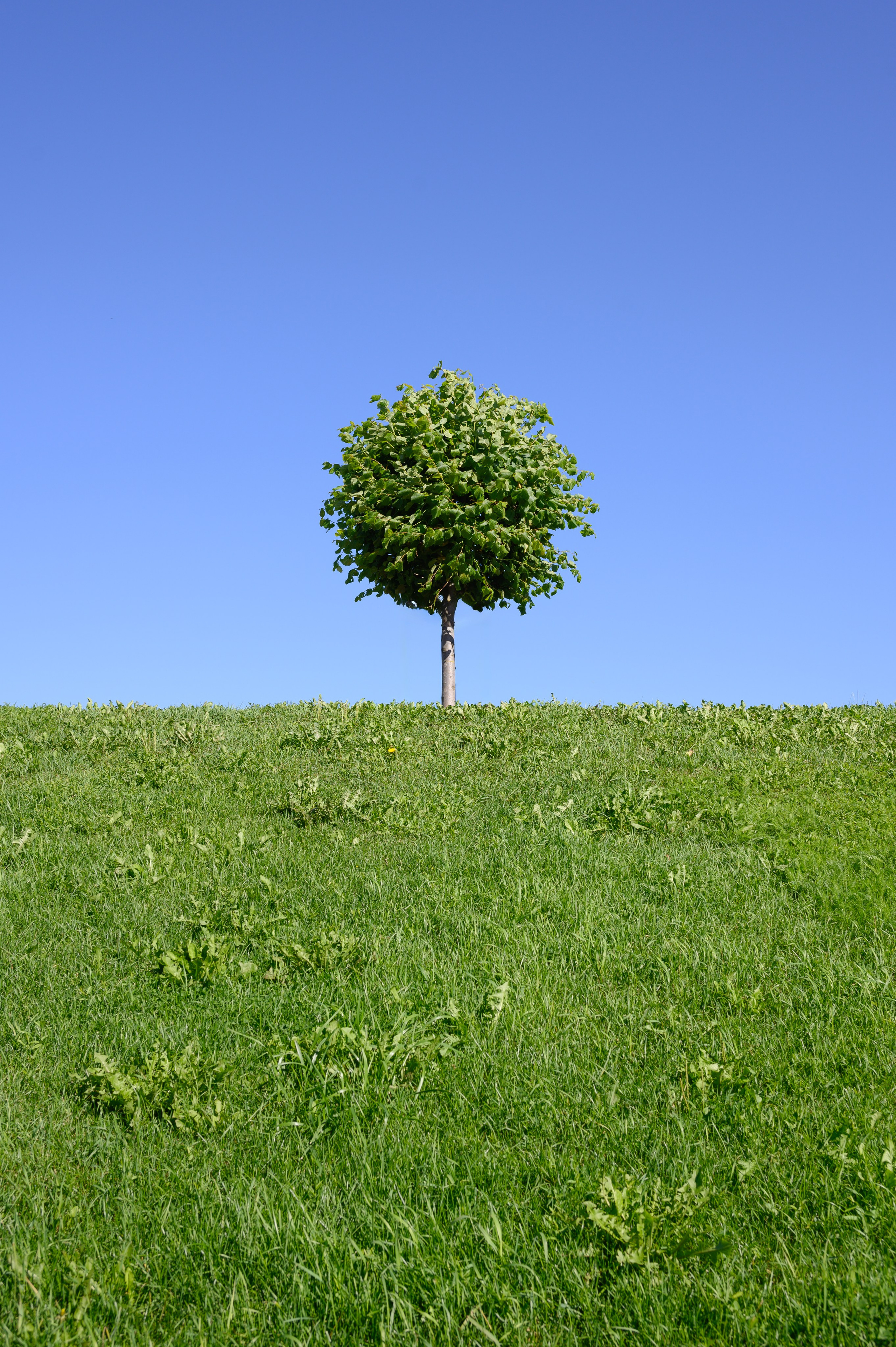 Фотографии природы и архитектуры
