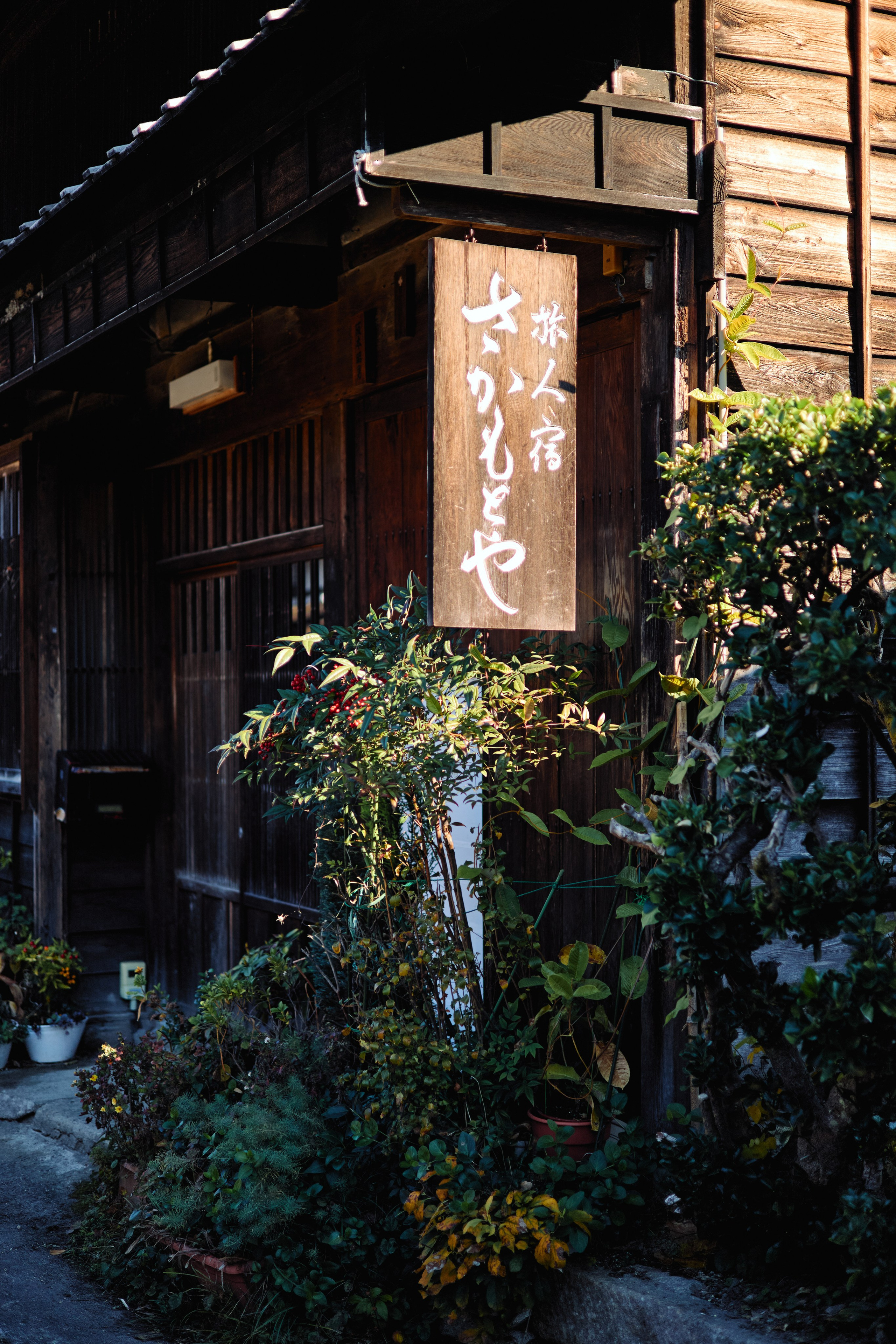 Япония. Профессиональный Фотограф во Владимире, в Москве и в Суздале — Полина Романычева