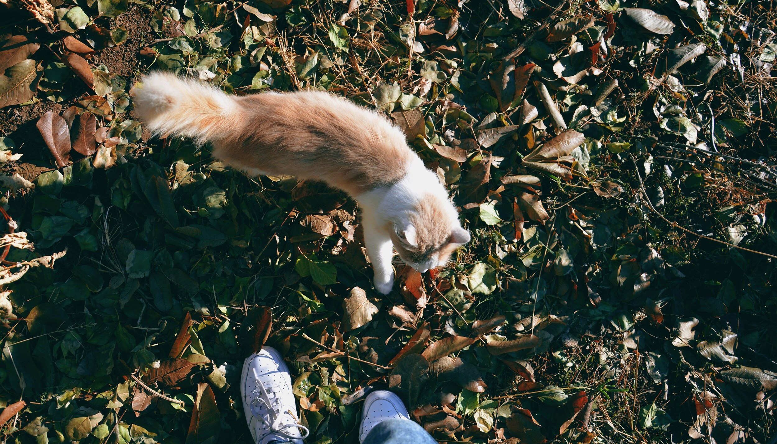 Визуальный дневник. Портретный фотограф в Москве Гахраманова Екатерина