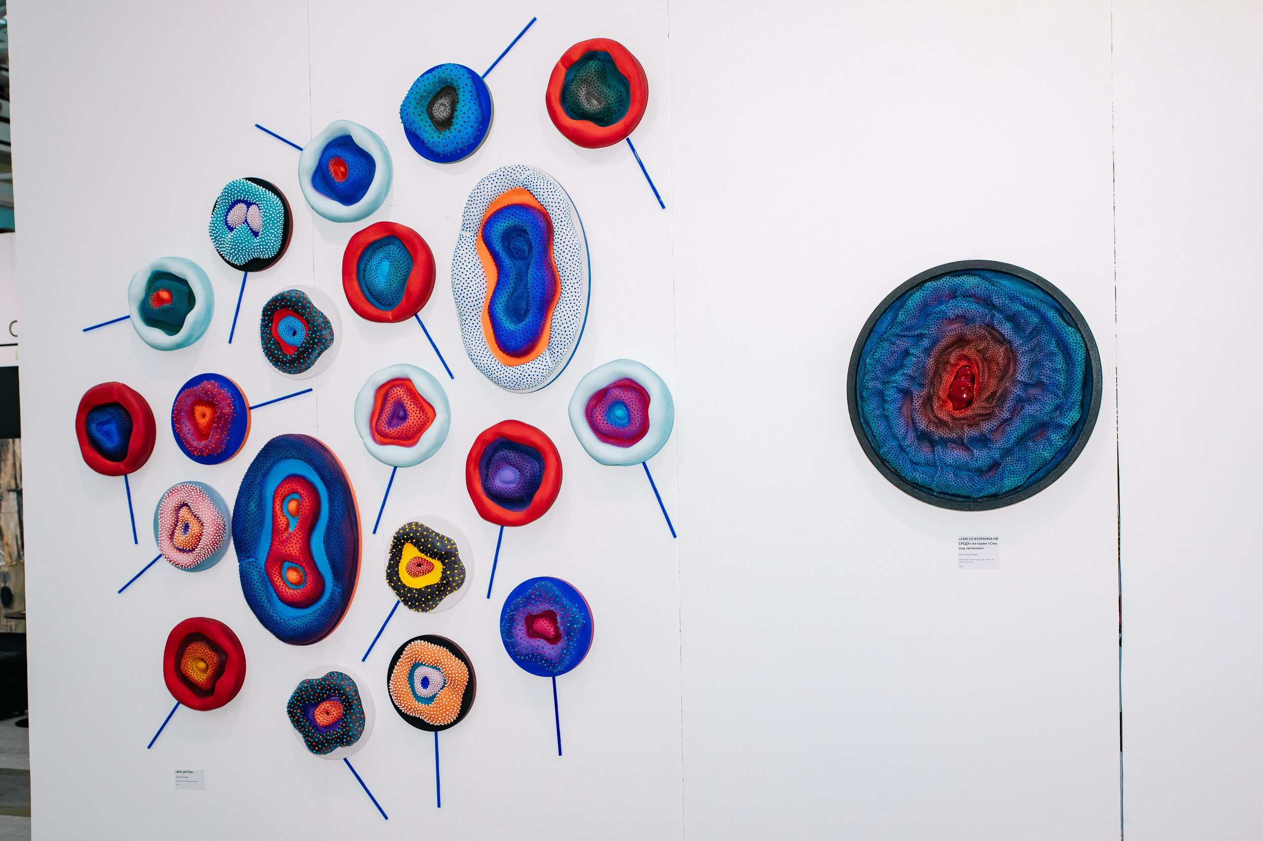 Арт Россия 2025 в Манеже. Фотограф в Москве Яна Полосина