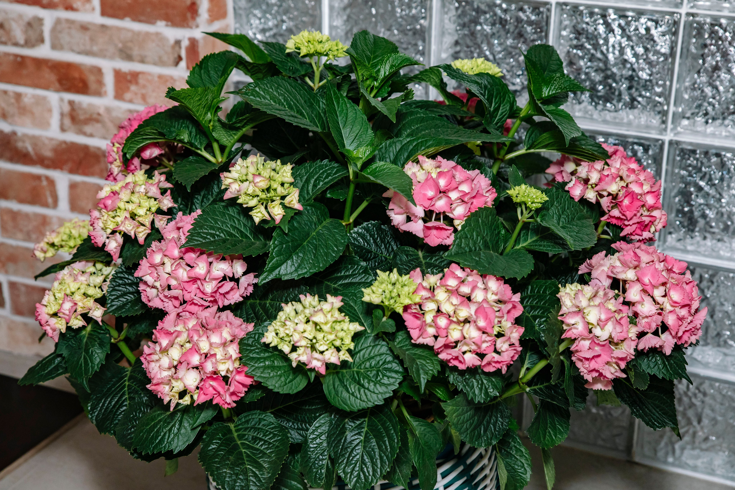 Свидание с La Riva Hall event space. Фотограф в Москве Яна Полосина