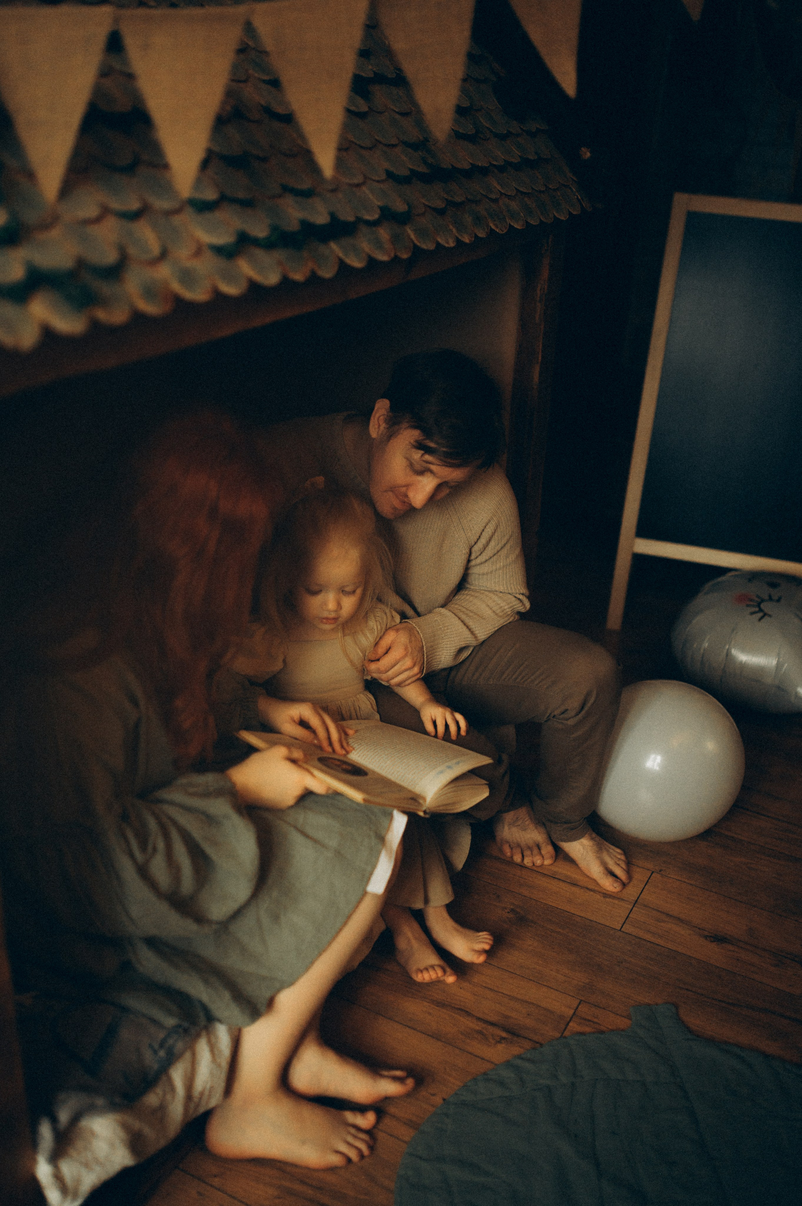 Волшебная семейная дома. Фотограф Алексин, Тула