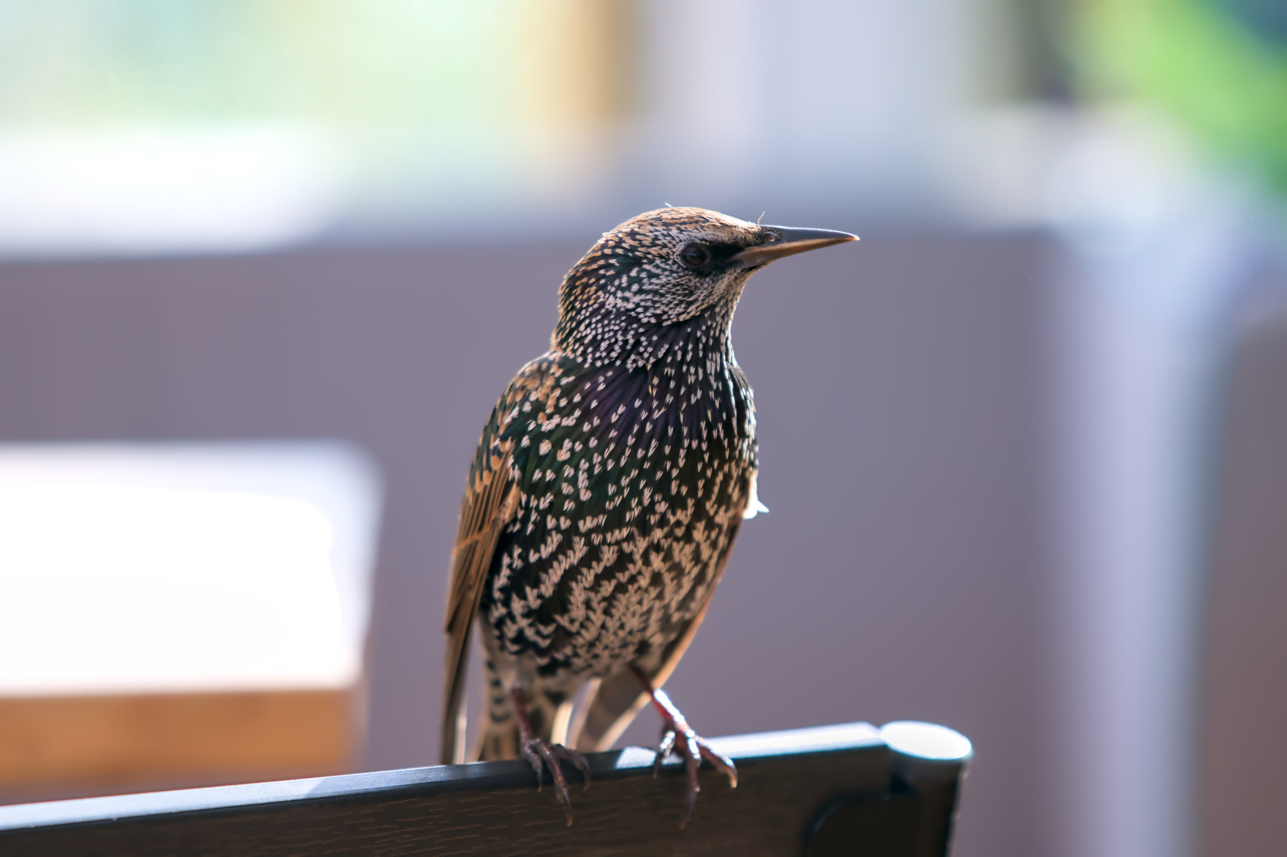 Природа. Фото детских спортивных мероприятий и всякое интересное через объектив