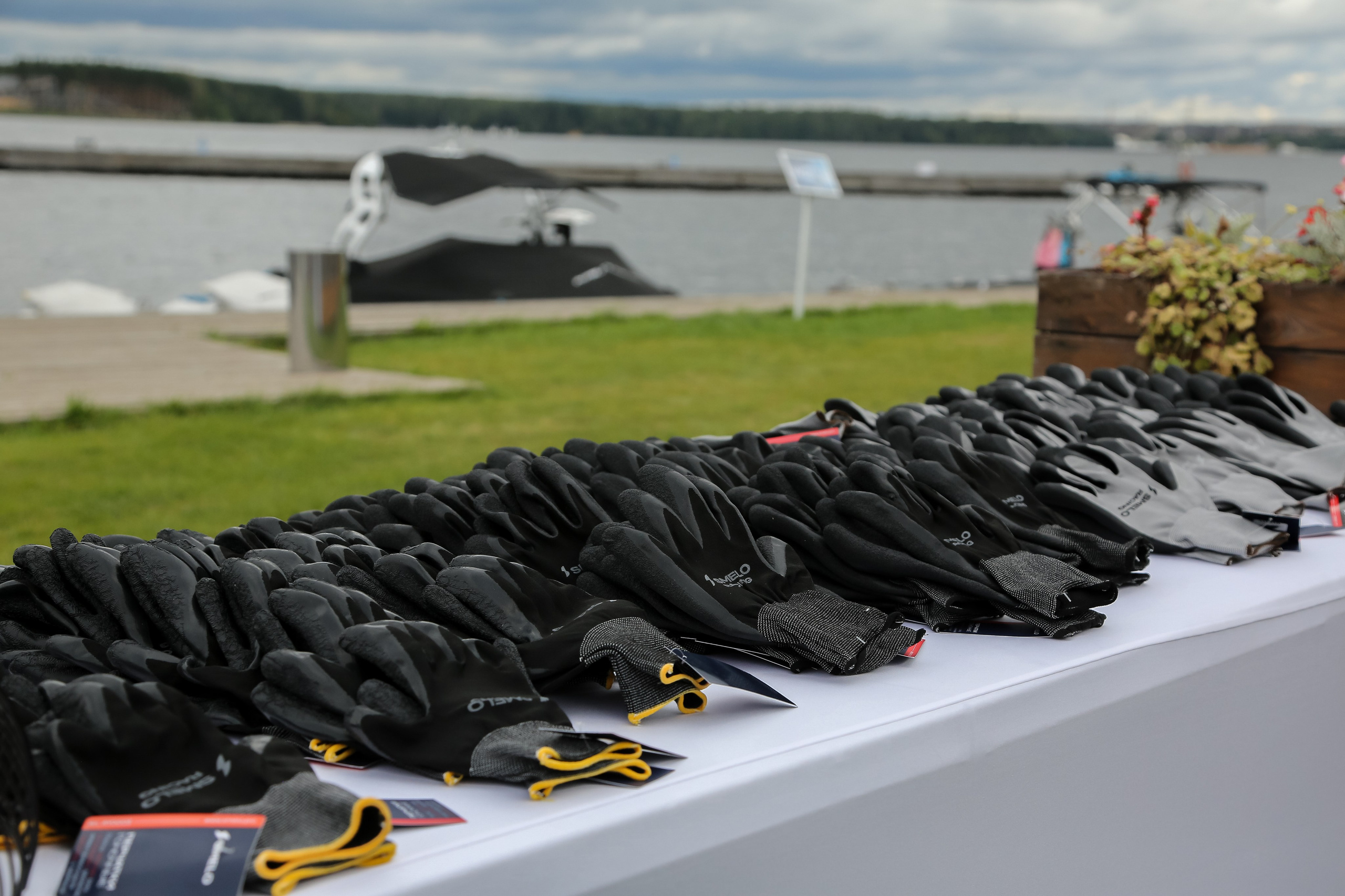 DIS Регата 2025. Фотограф Антон Чупринин