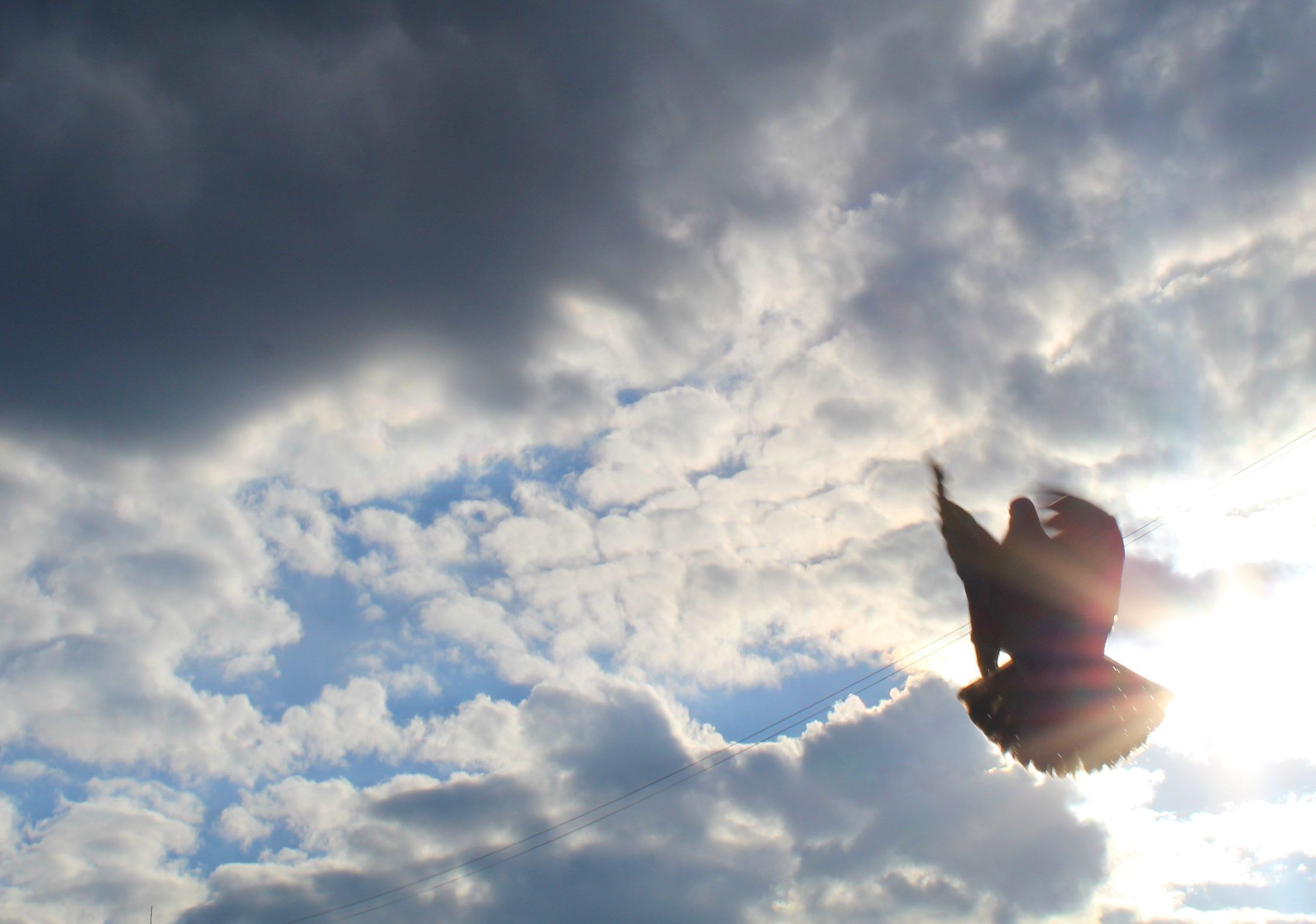 Всё, что я вижу вокруг себя