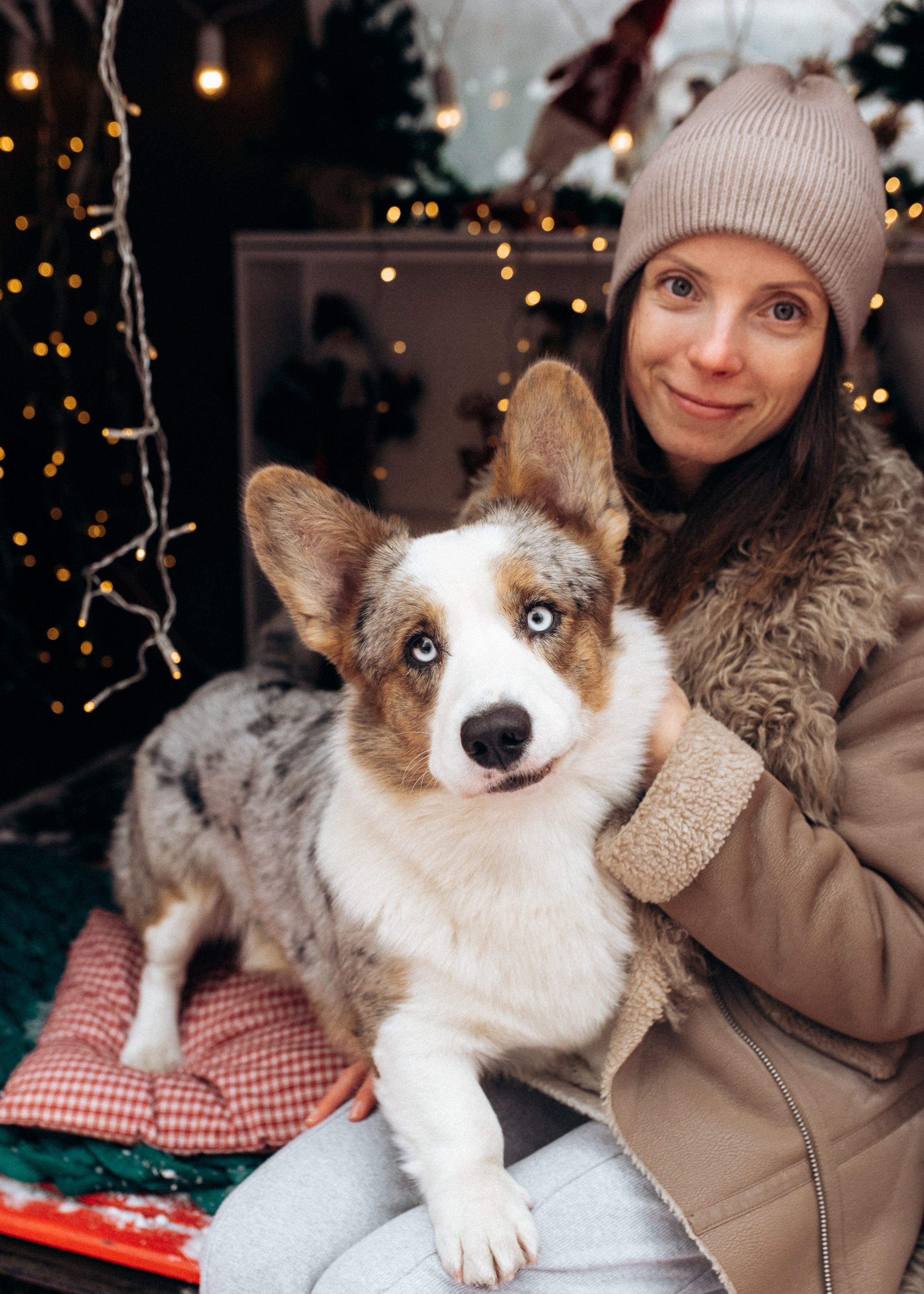 Маша и Дэф. Фотограф анималист в Москве Ольга Агушева