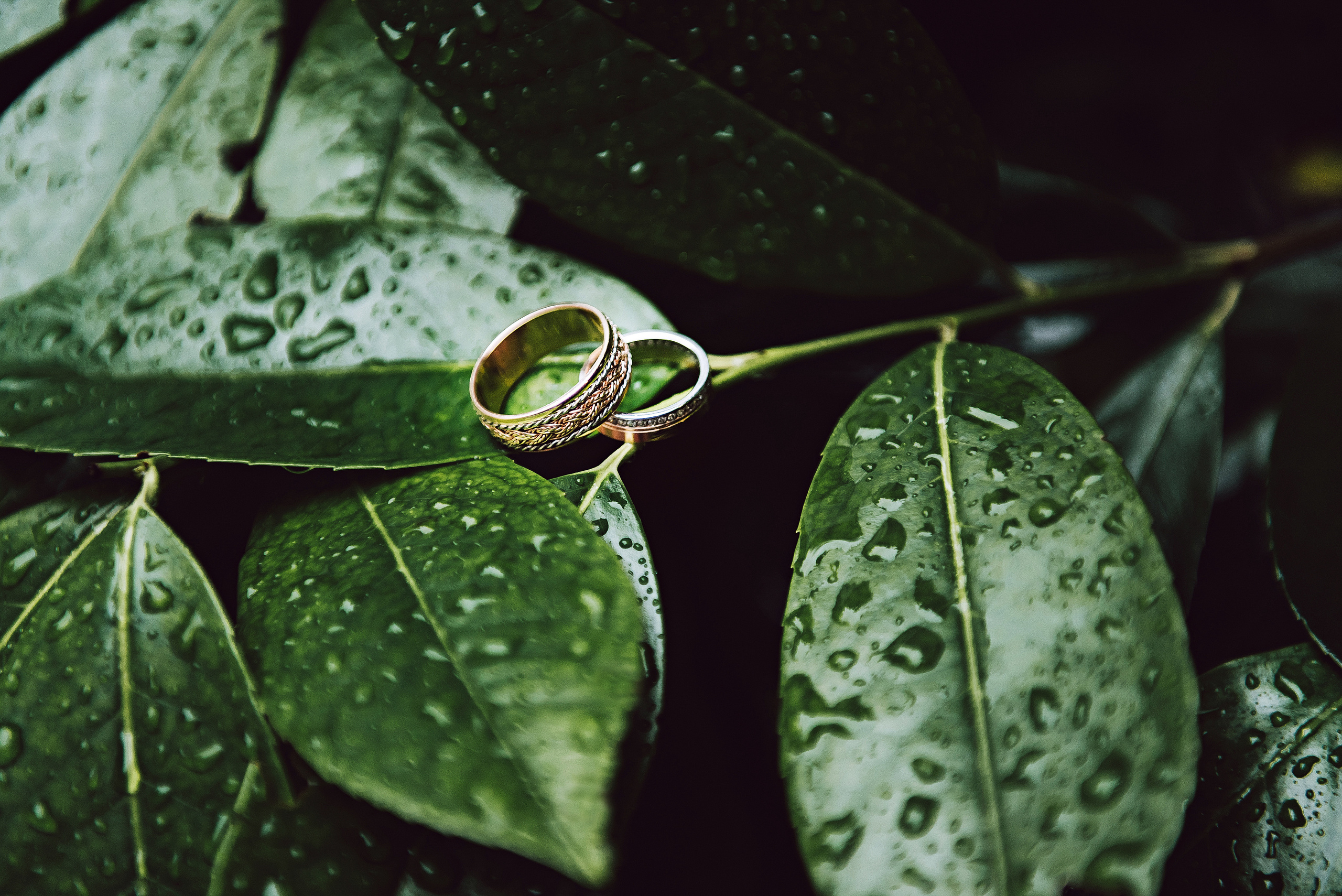 Артем и Юля | 2019. Свадебный фотограф в Крыму Александр Богомазов