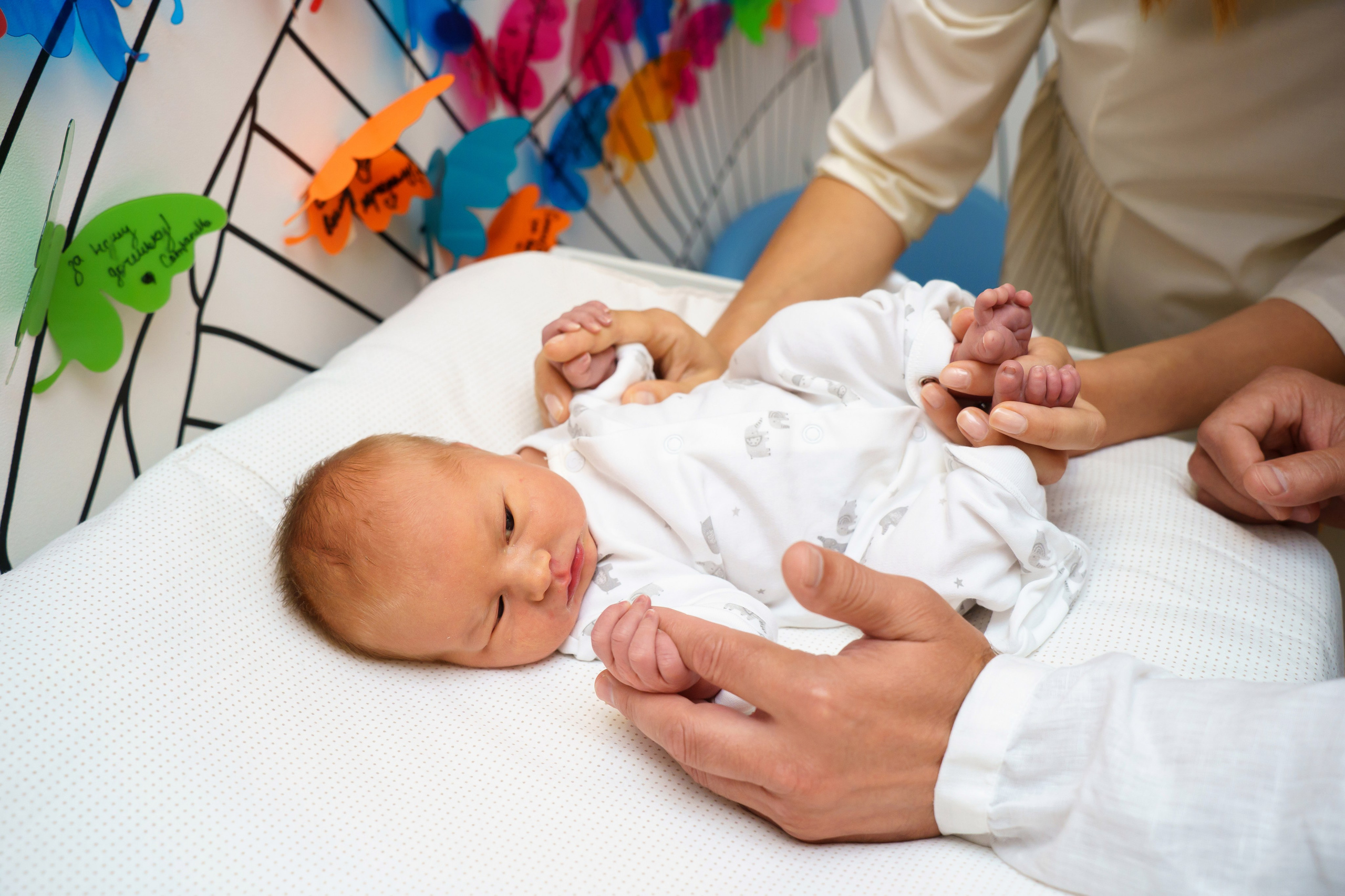 Скандинавия. Главная