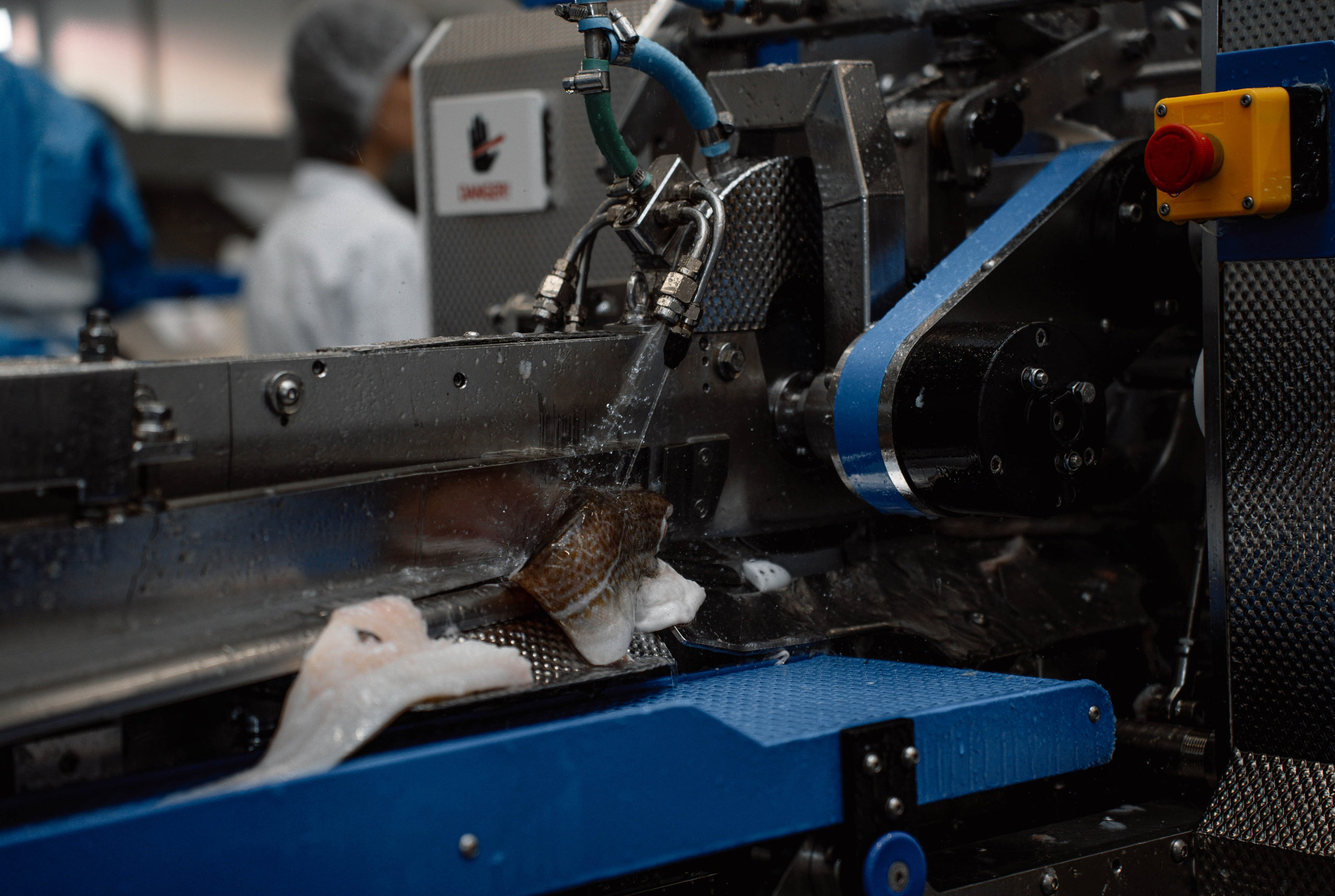 «Росмолодеж» экскурсия. Туманов Кирилл Фото, видео и аэросъемка в Мурманской области