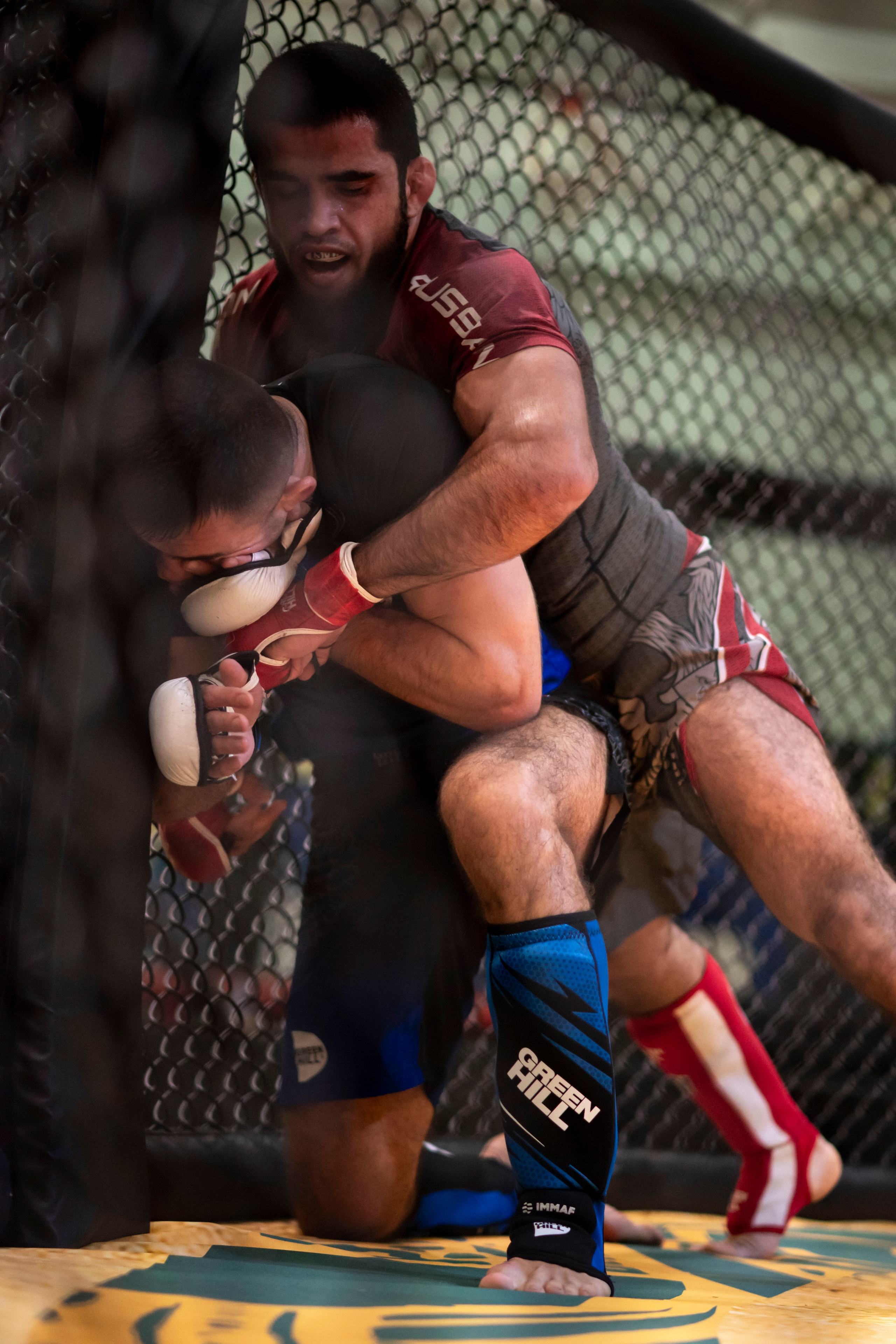 Всероссийский турнир ММА. Новомосковск, ноябрь 2025. Спортивный фотограф в Туле и Тульской области. Файсханова Фото Спорт