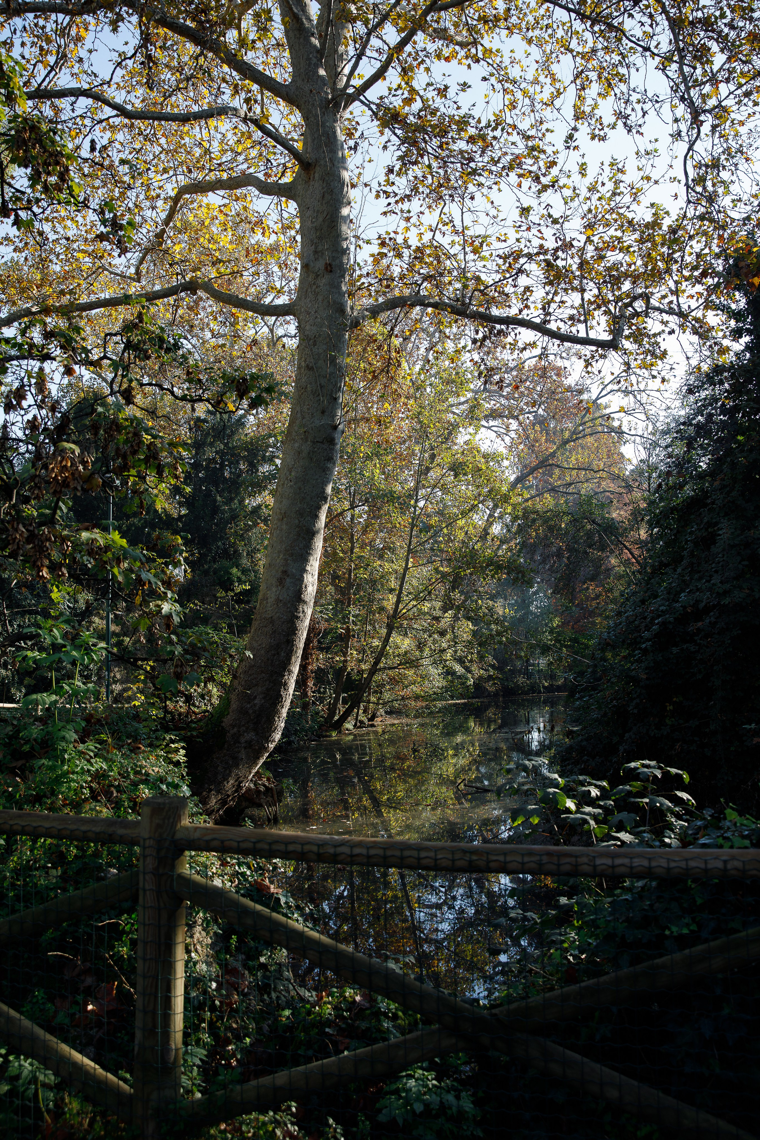 Италия 2024. Репортажный и портретный фотограф Русакова Жанна