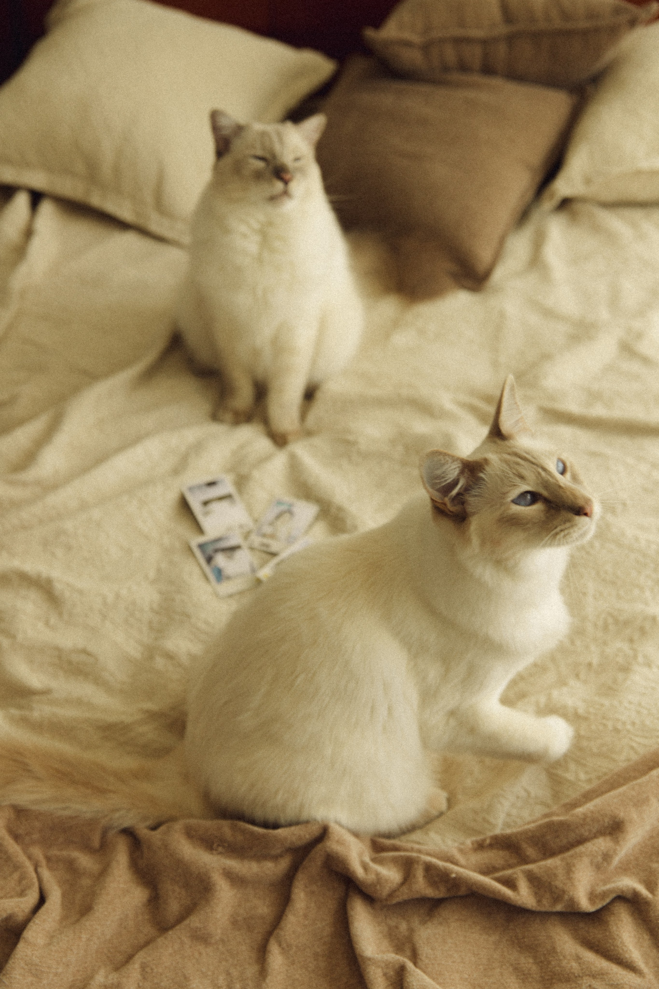 Briana+Fran. Портретный фотограф / Панама / Анастасия Елизарова